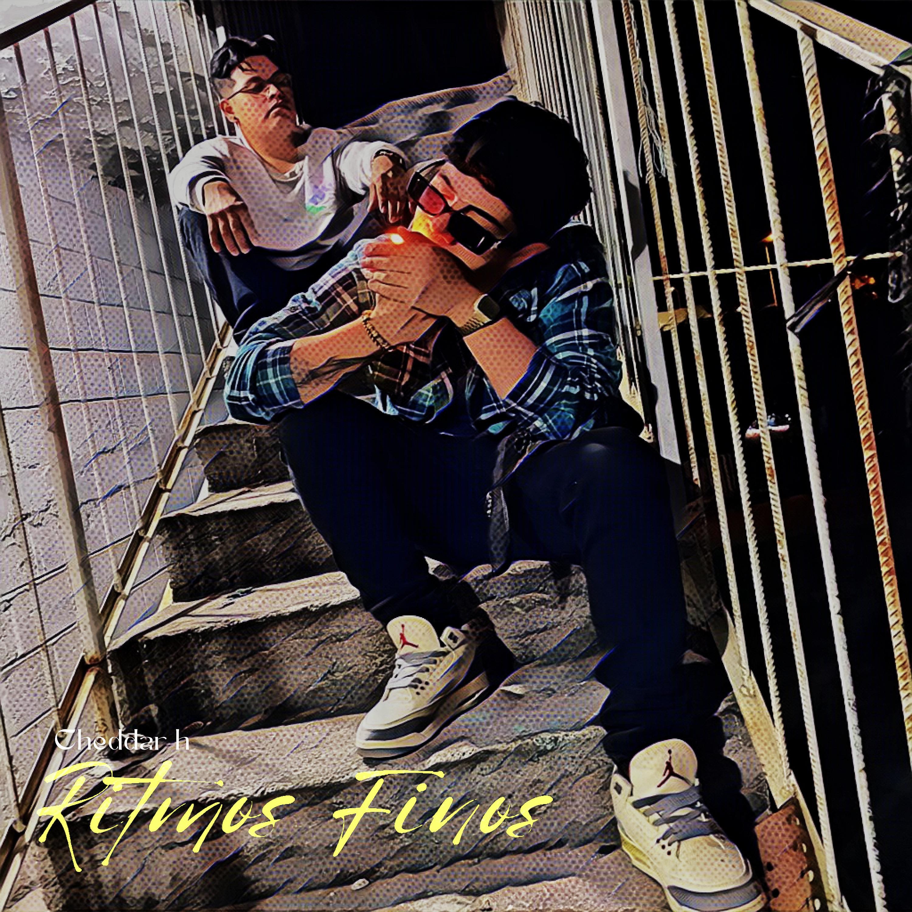 Постер альбома Ritmos Finos