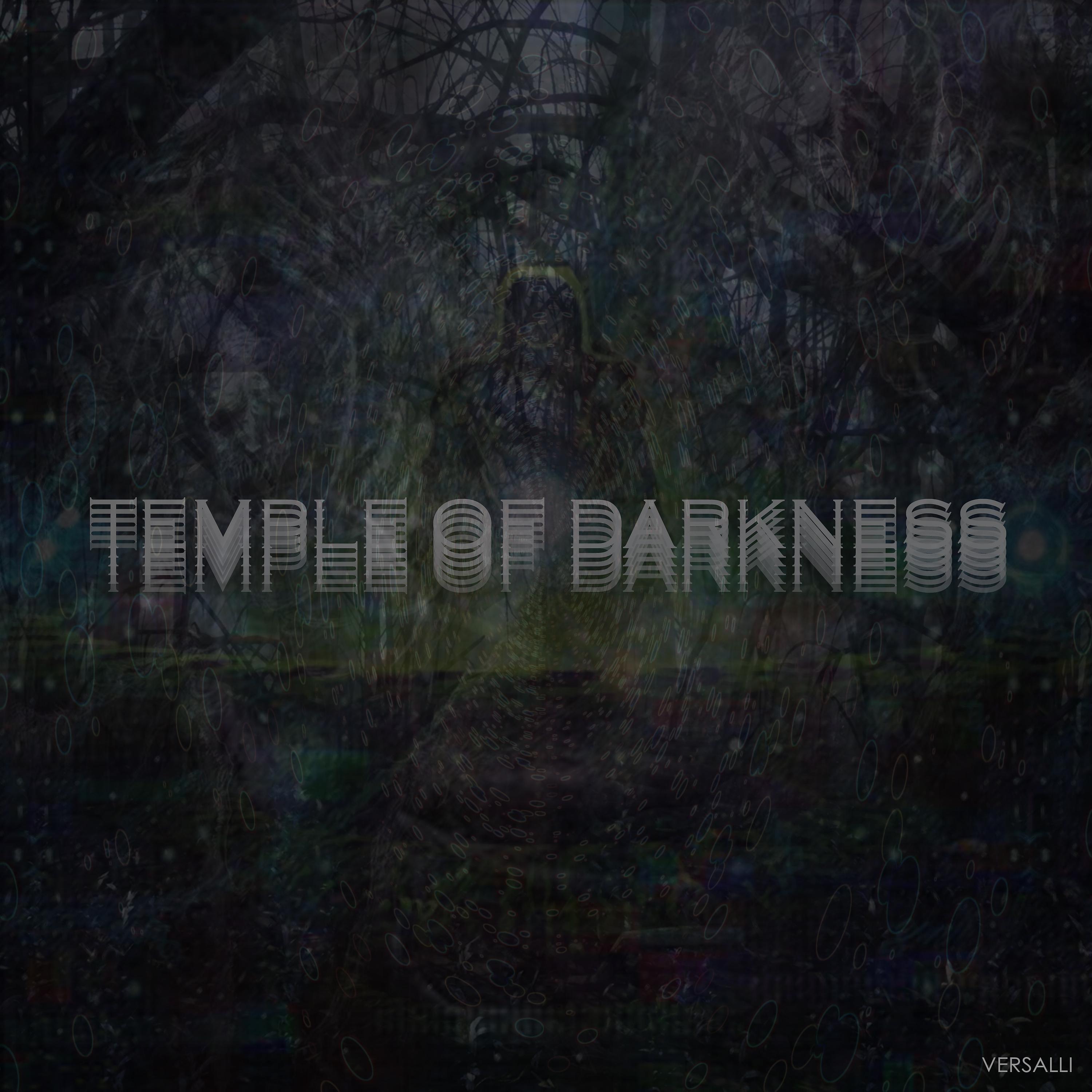 Постер альбома Temple Of Darkness