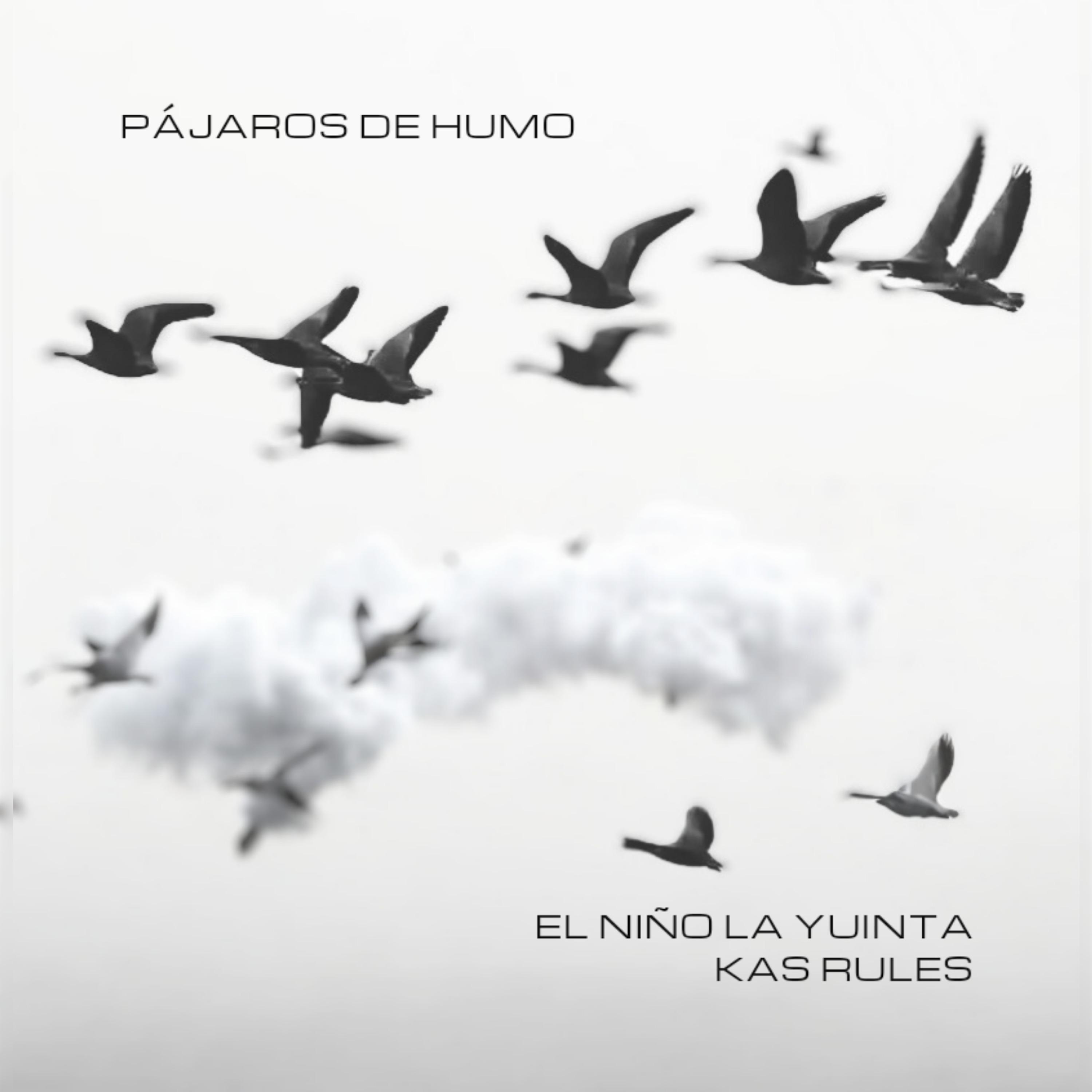 Постер альбома Pajaros de Humo