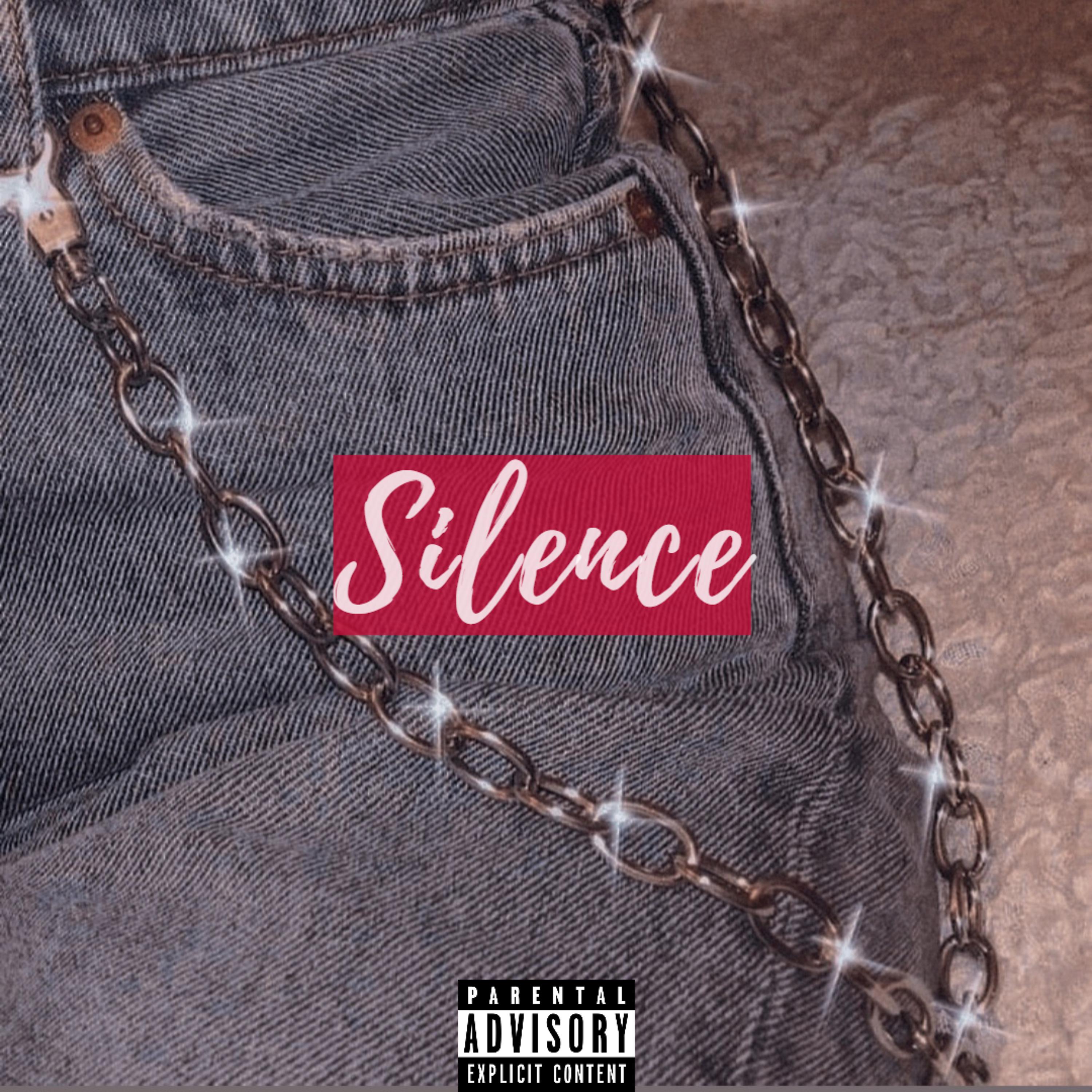 Постер альбома silence