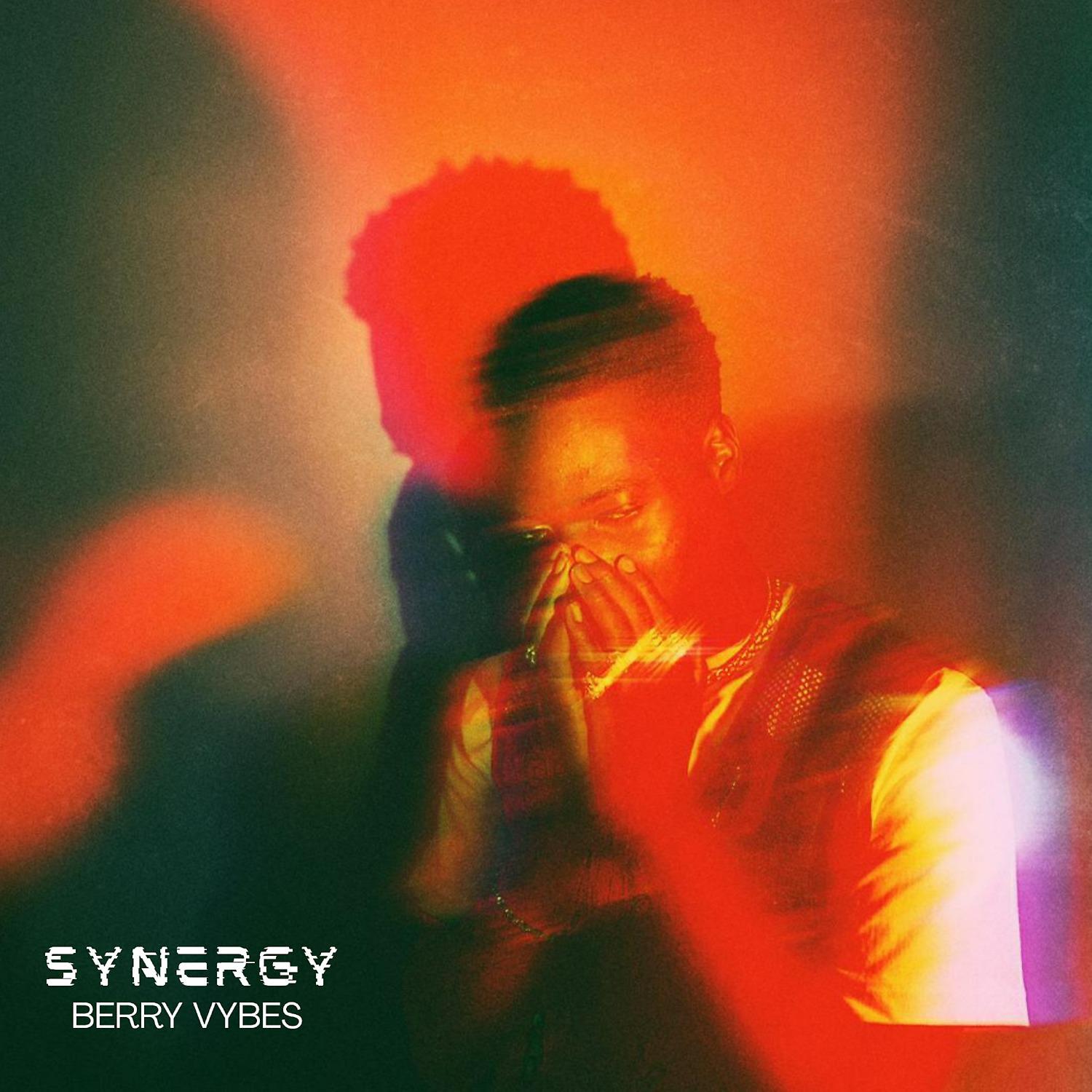 Постер альбома Synergy