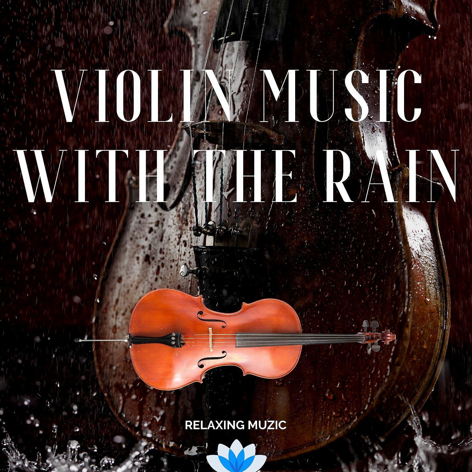 Постер альбома Violin Music with the Rain