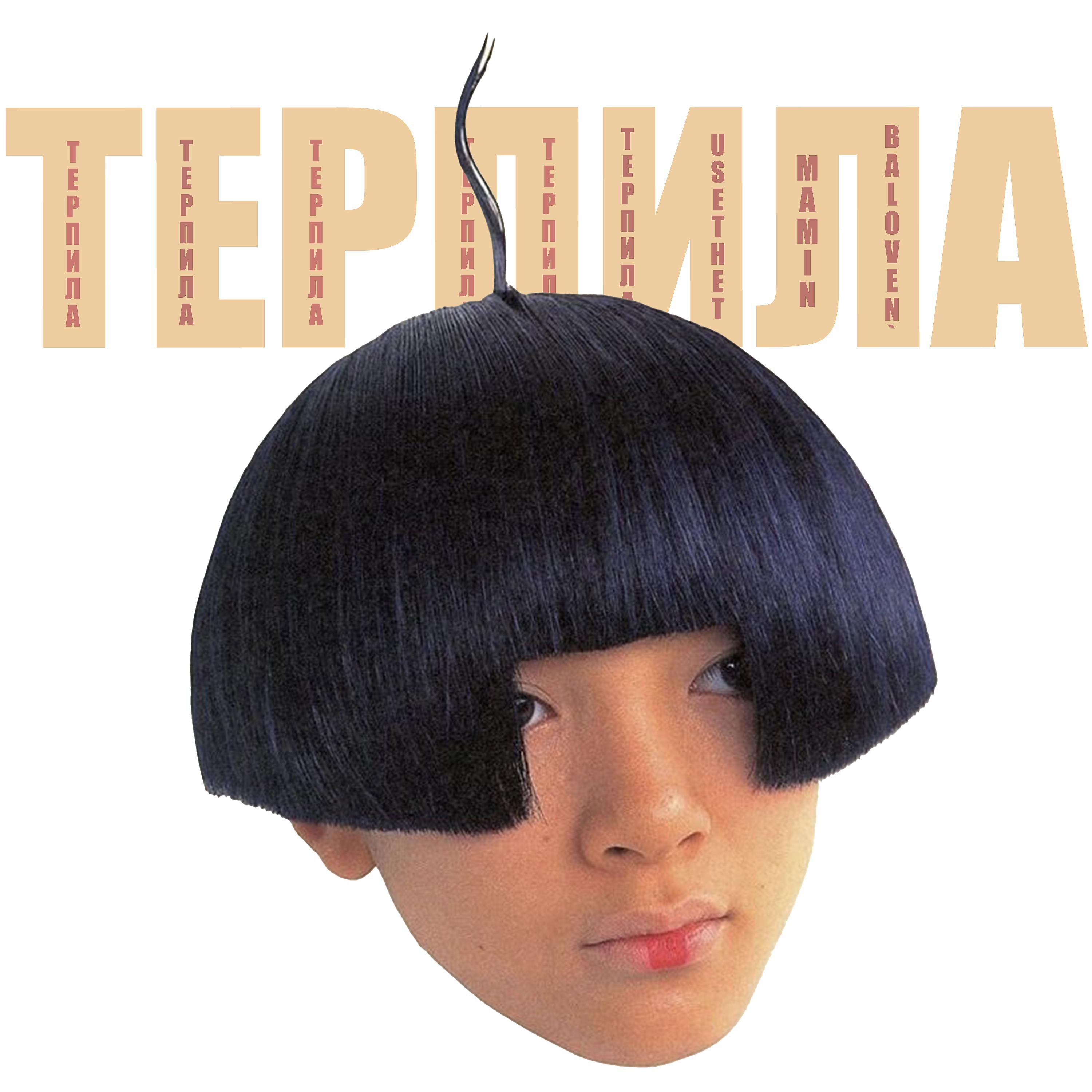 Постер альбома Терпила