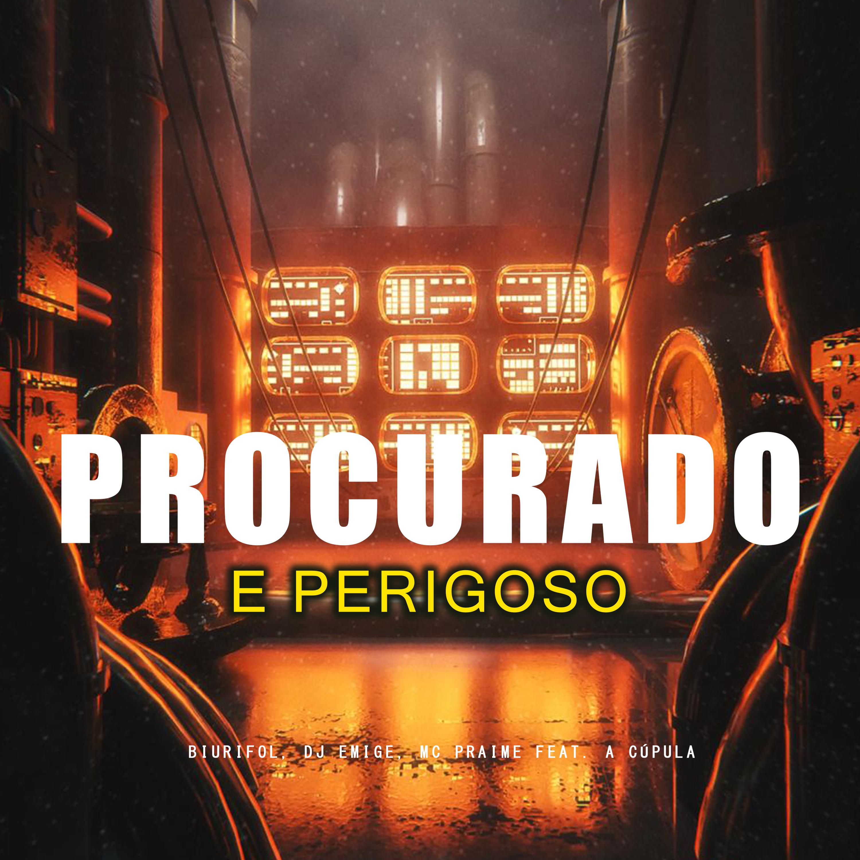 Постер альбома Procurado e Perigoso