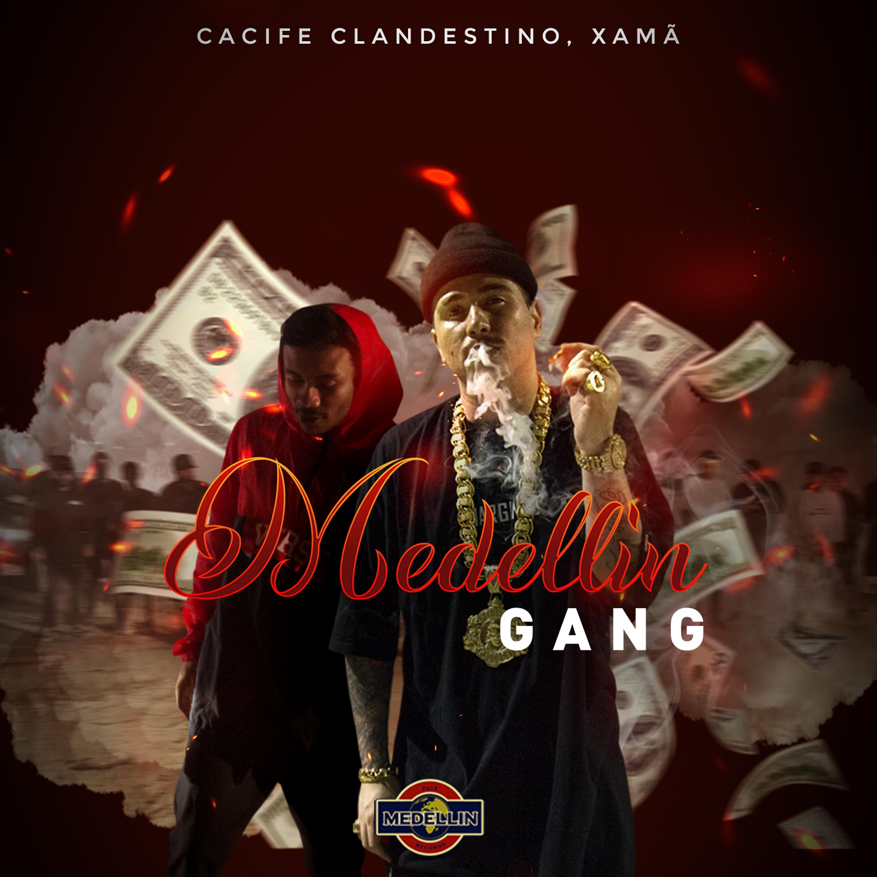 Постер альбома Medellin Gang
