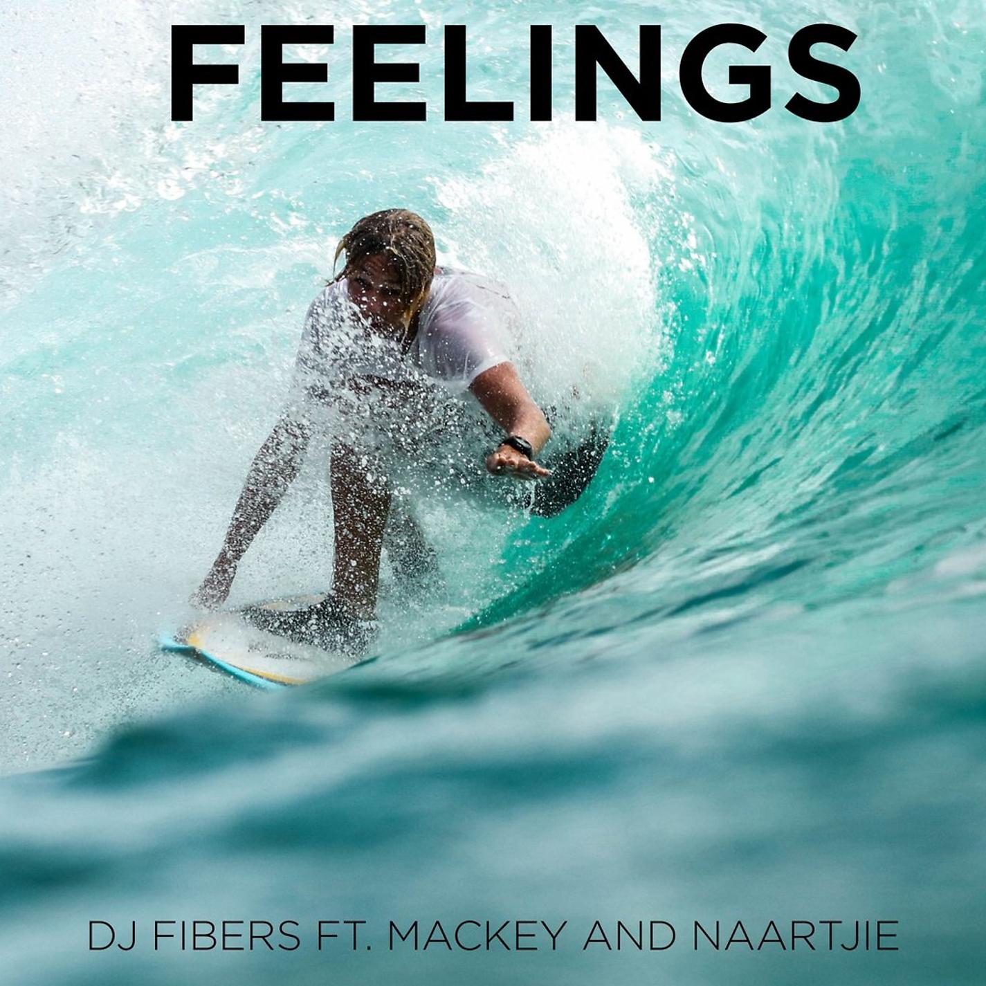 Постер альбома Feelings (feat. Mackey and Naartjie)