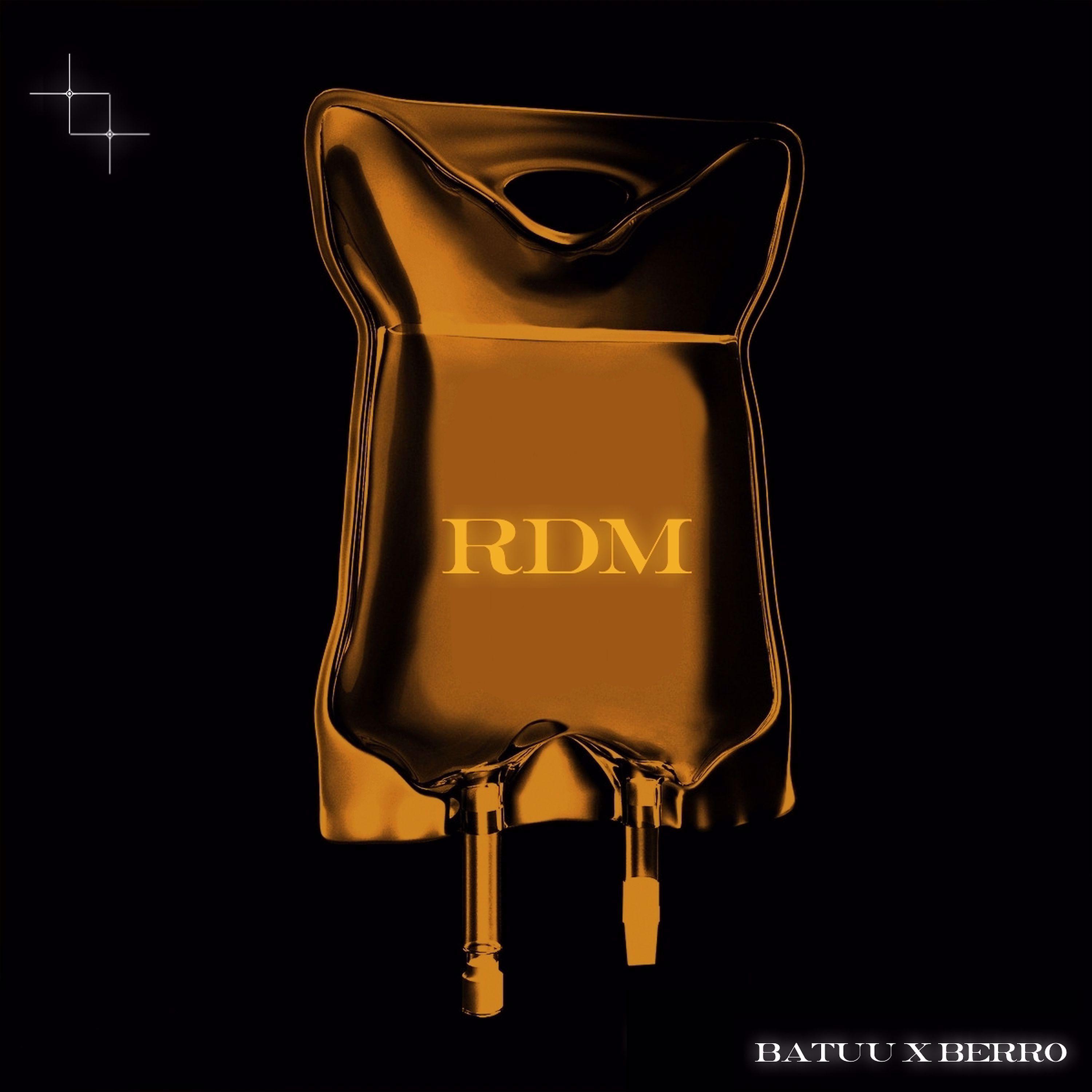 Постер альбома RDM