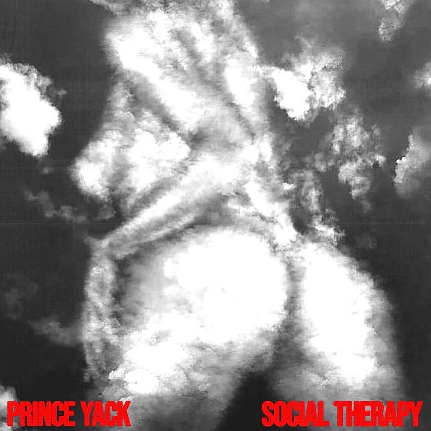 Постер альбома Social Therapy