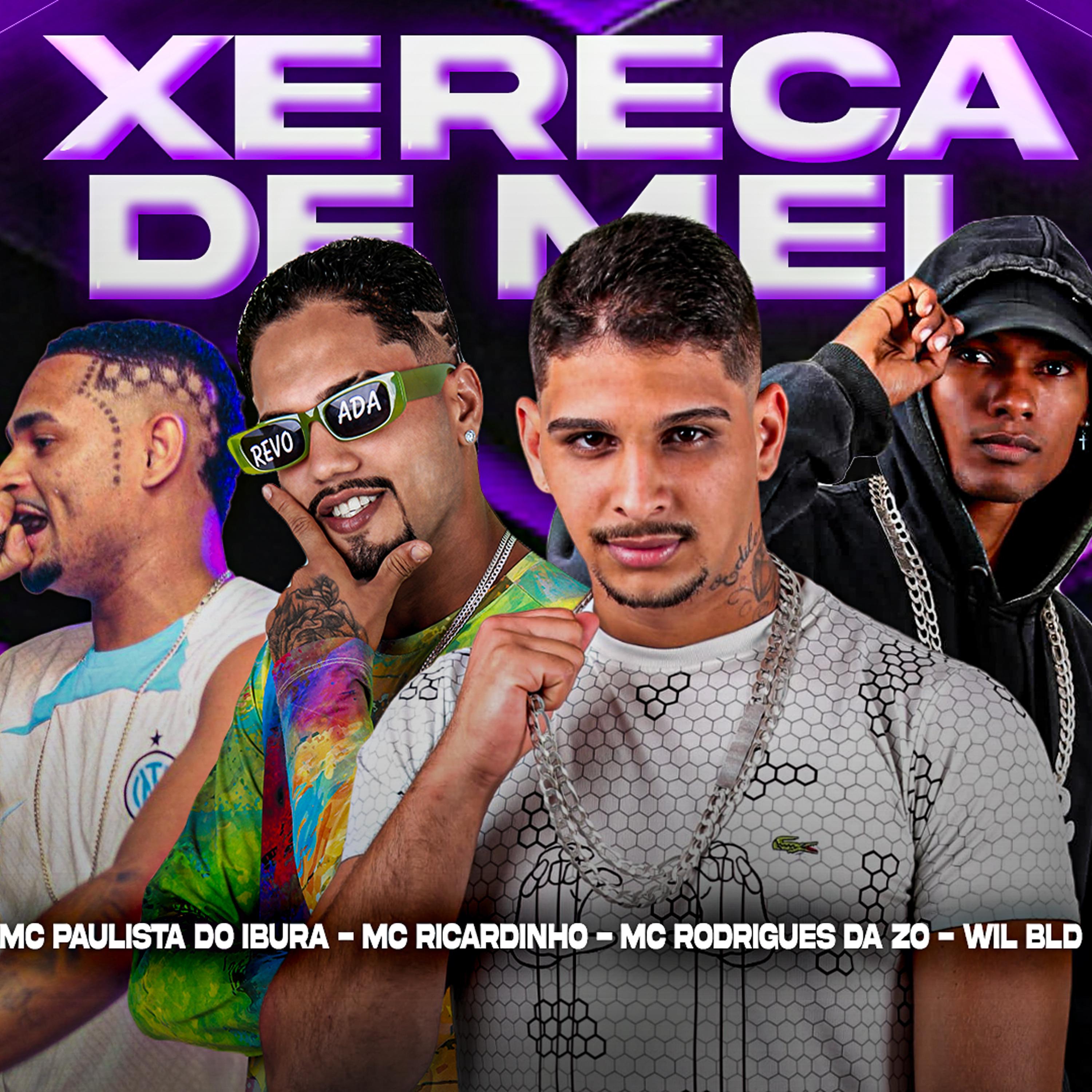 Постер альбома Xereca de Mel