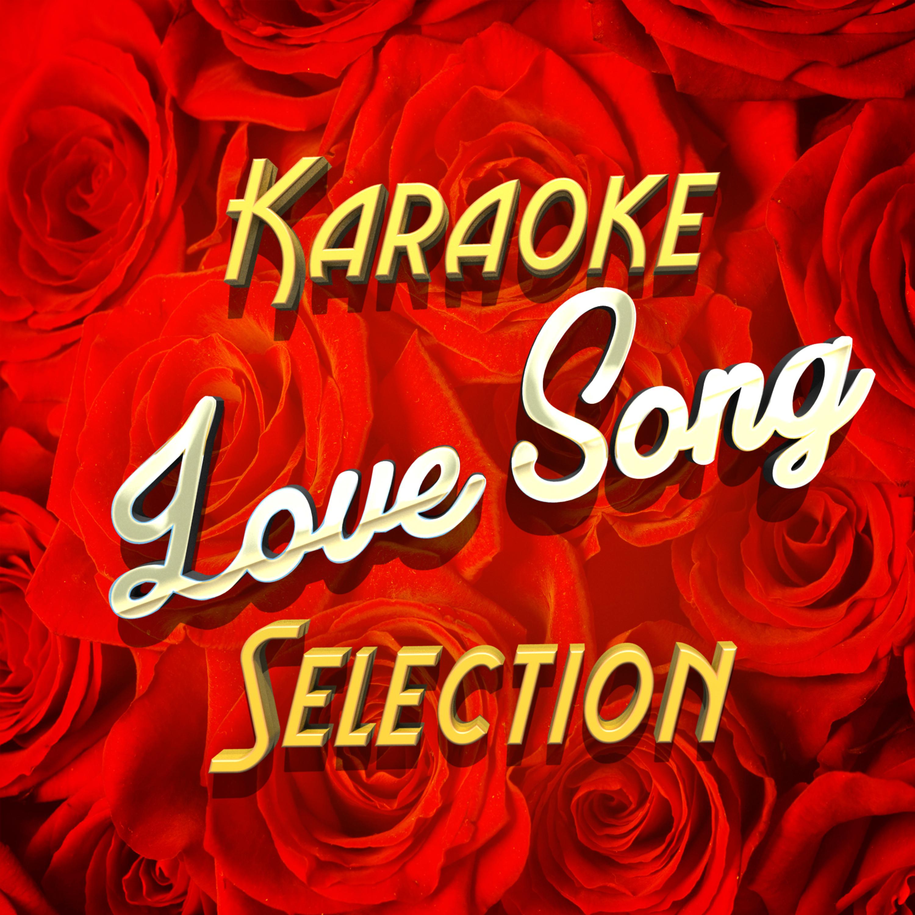 Постер альбома Karaoke Love Song Selection