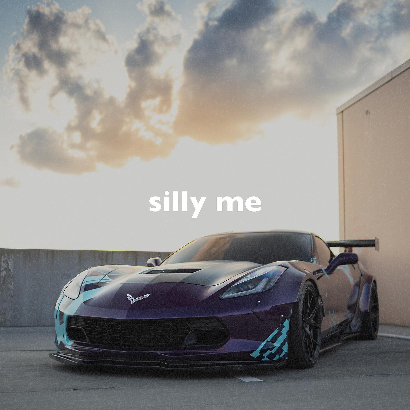 Постер альбома Silly Me (Slowed + Reverb)