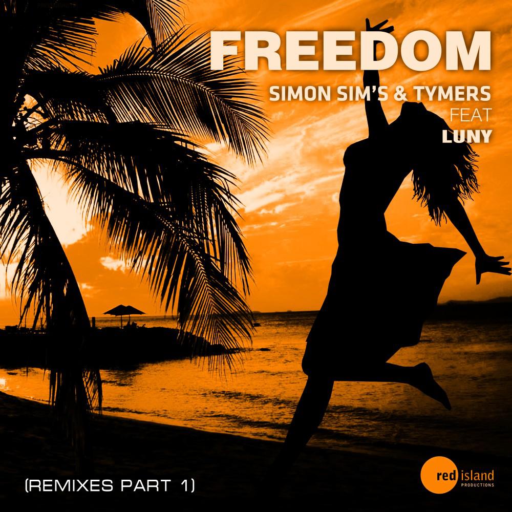Постер альбома Freedom (Remixes, Pt. 1)