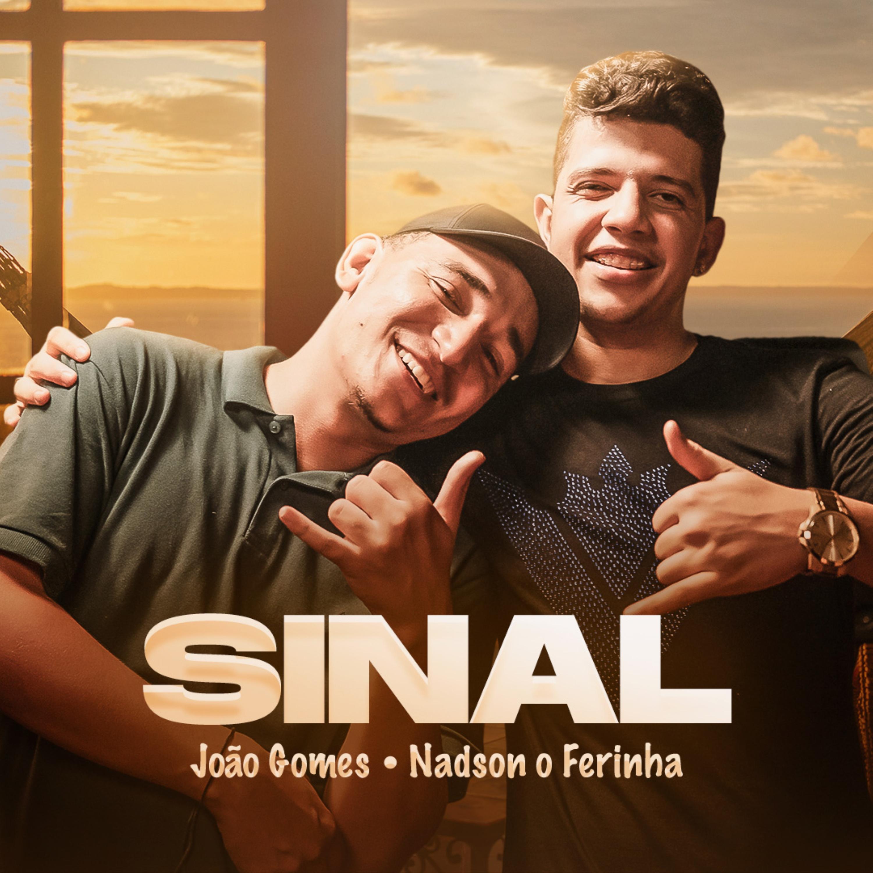 Постер альбома Sinal