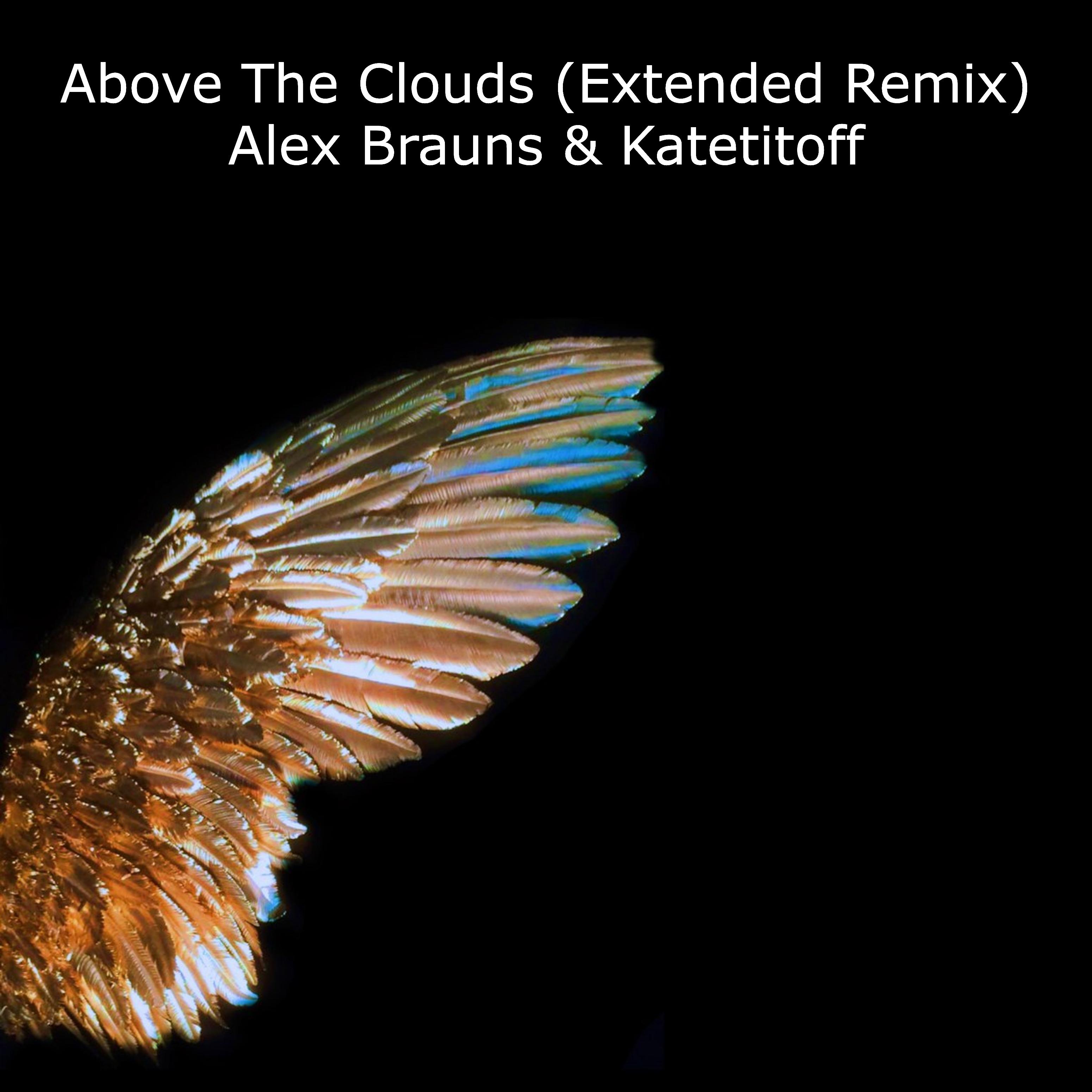 Постер альбома Above the Clouds (Extended Remix)