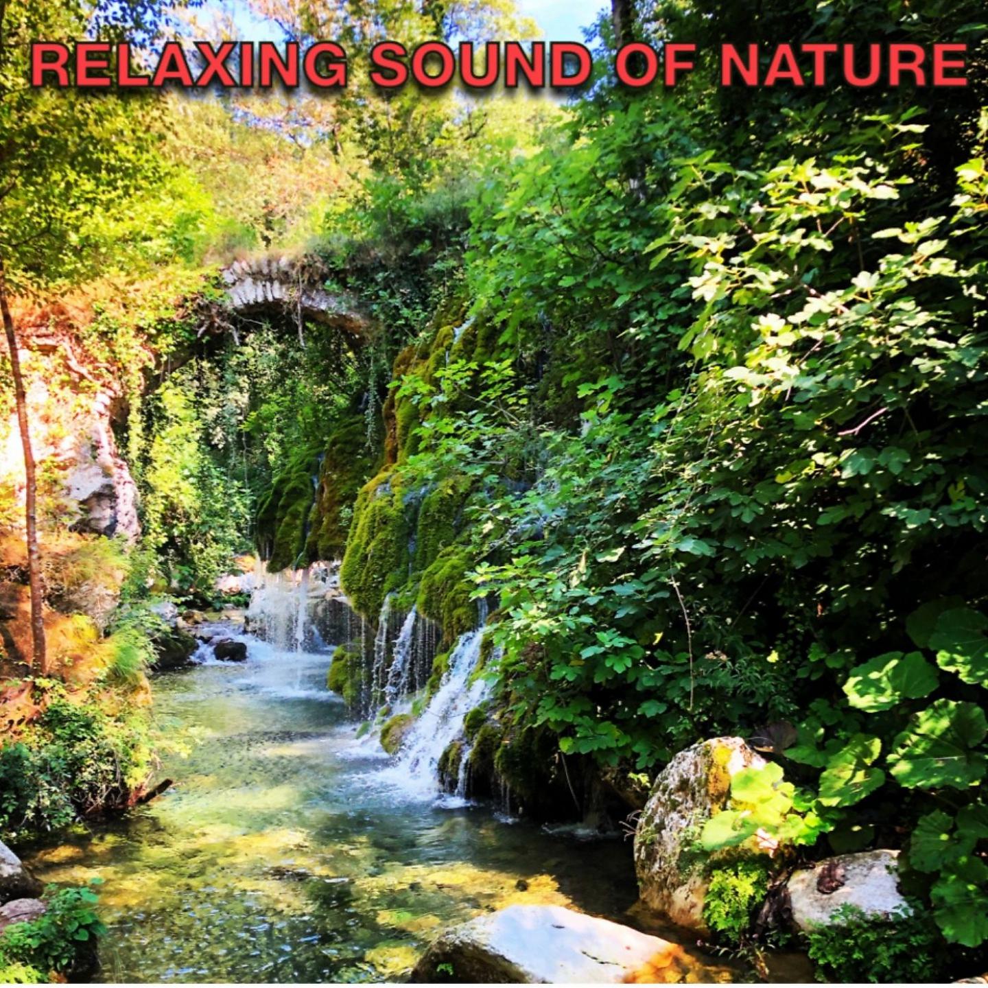 Постер альбома RELAXING SOUND OF NATURE