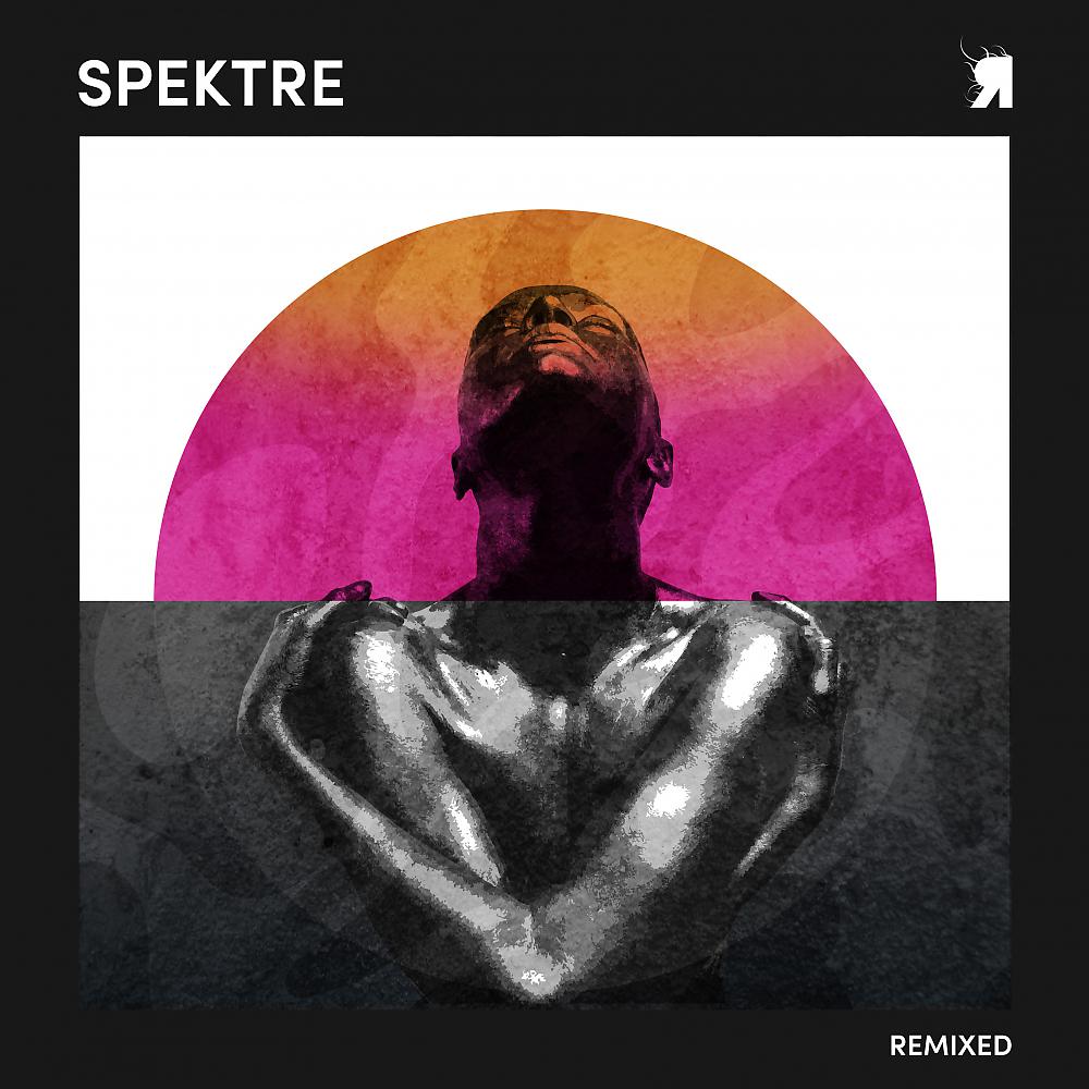 Постер альбома Spektre Remixed