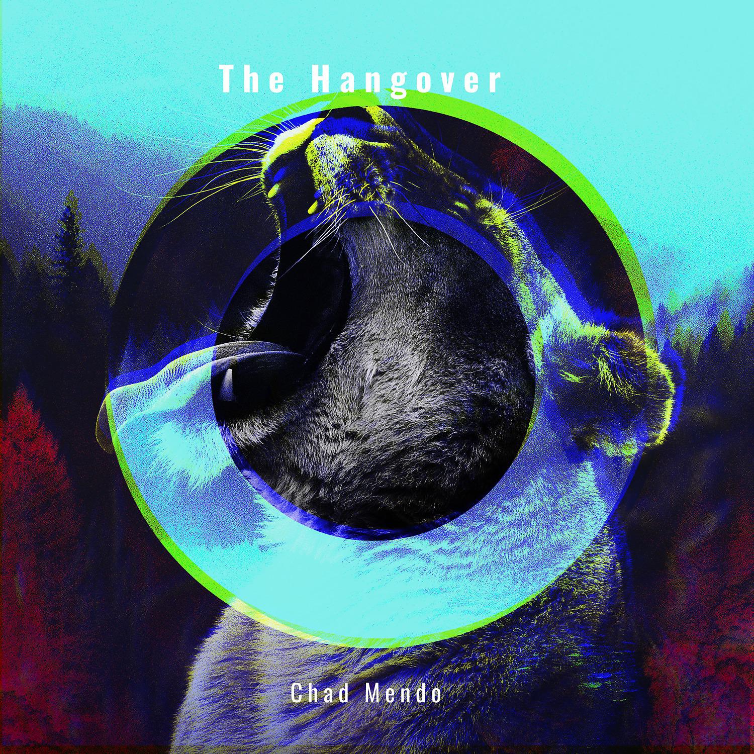Постер альбома The Hangover