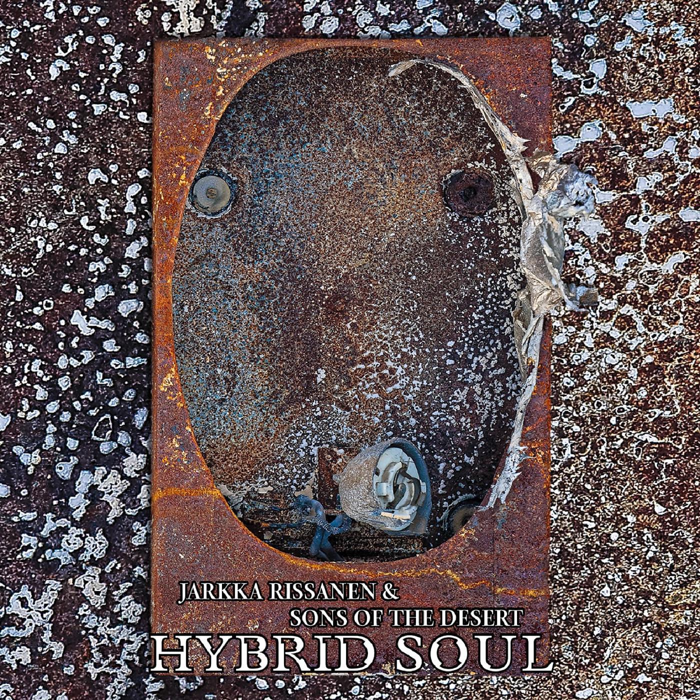 Постер альбома Hybrid Soul