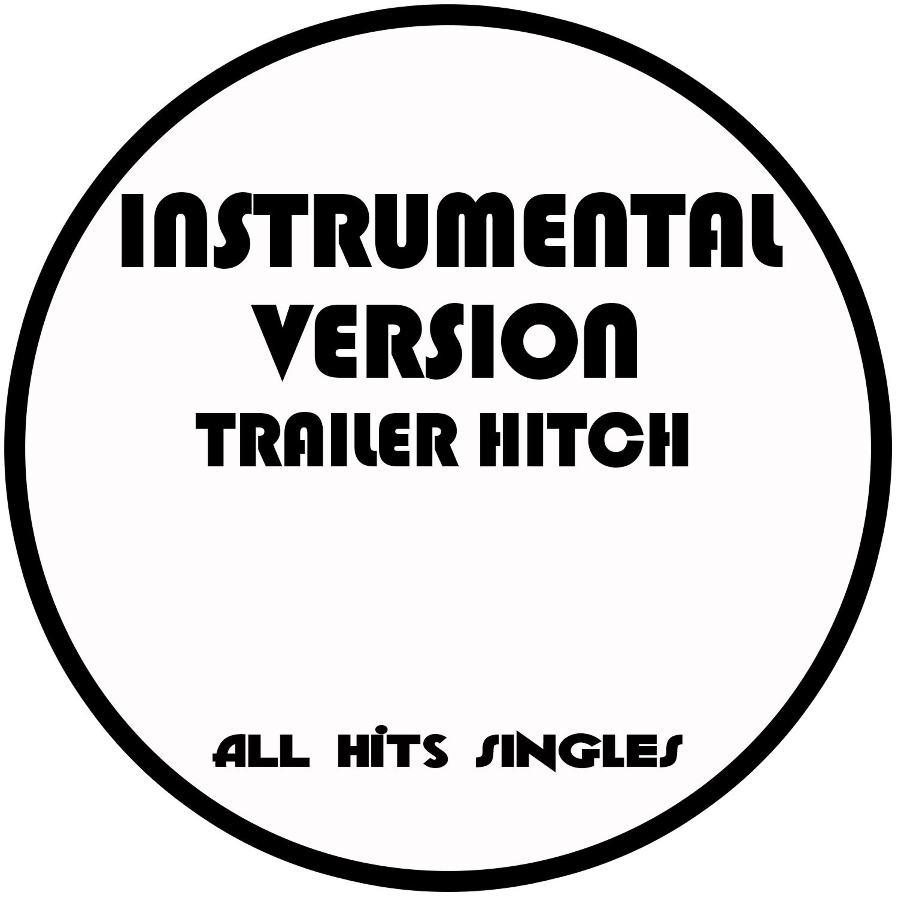 Постер альбома Trailer Hitch (Instrumental Version) - Single