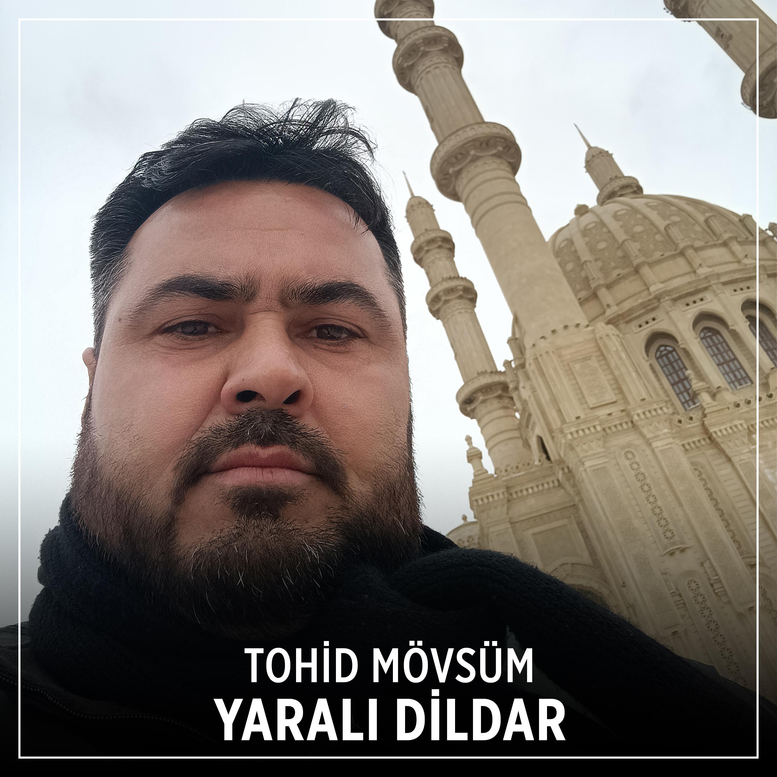 Постер альбома Yaralı Dildar