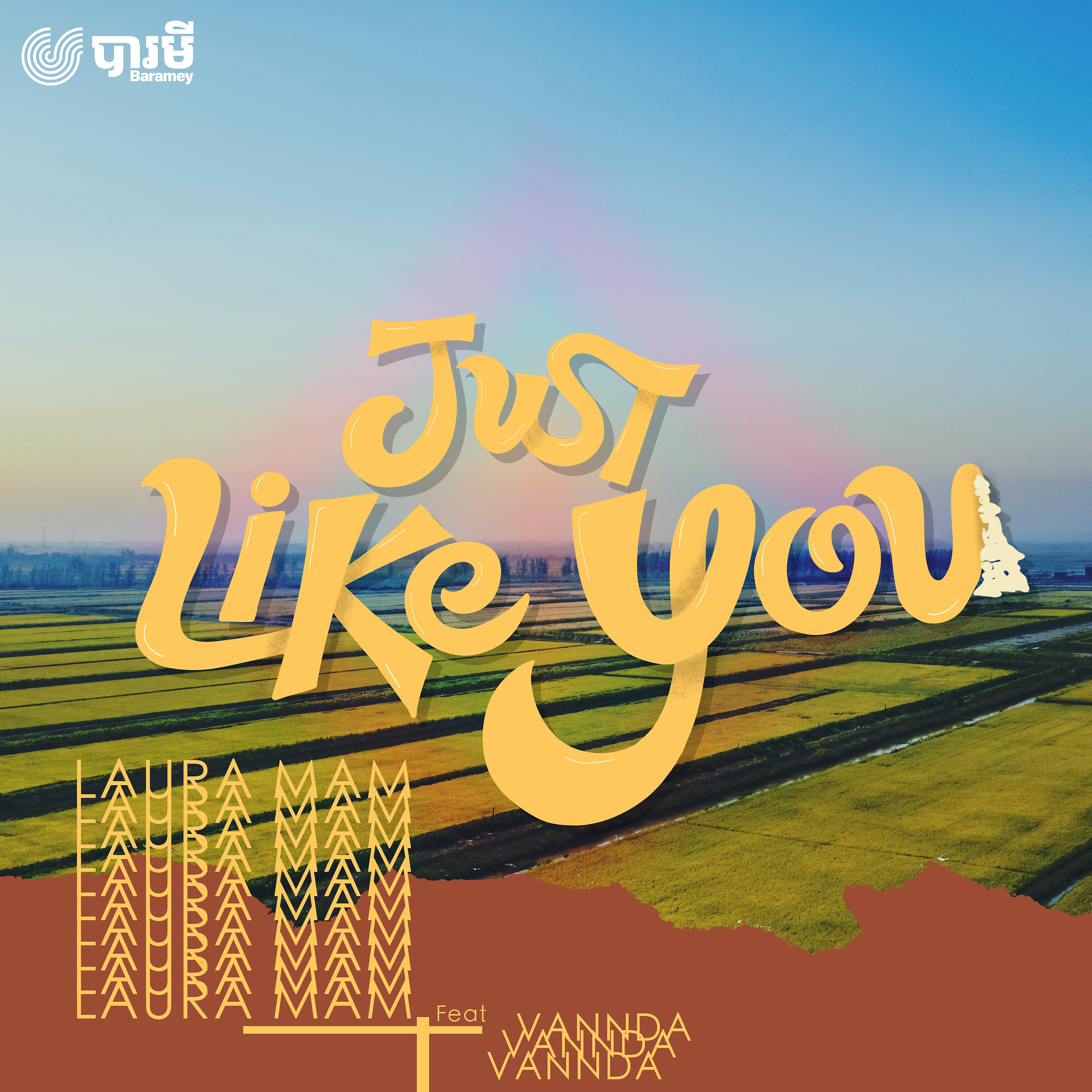 Постер альбома Just Like You (feat. VannDa)