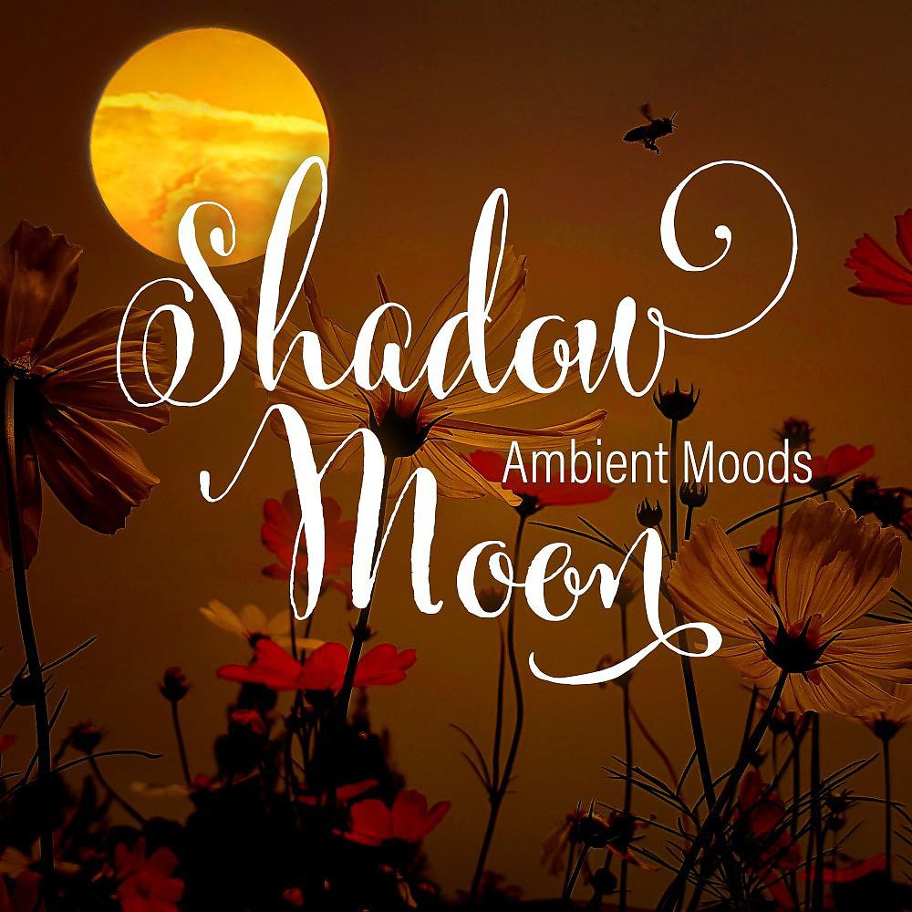 Постер альбома Shadow Moon - Ambient Moods