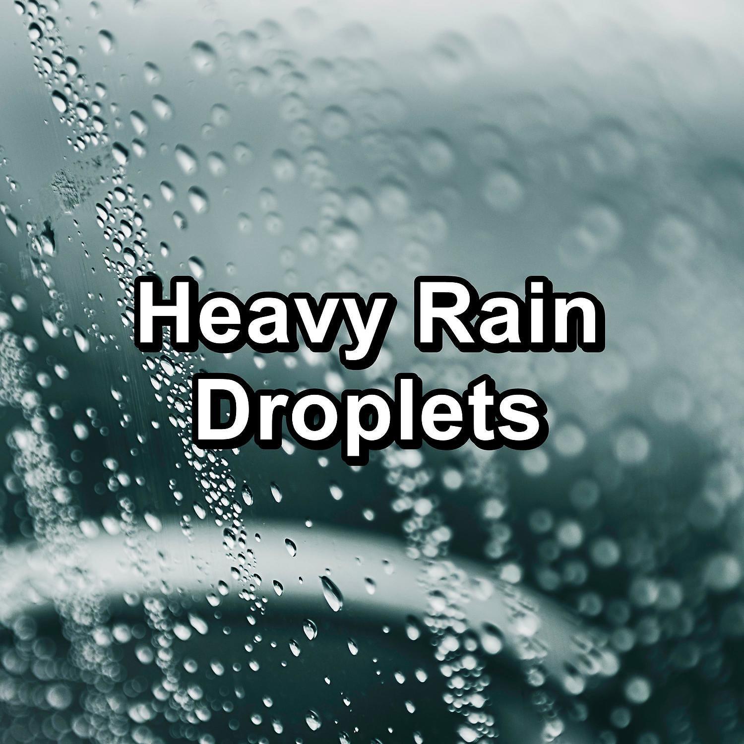Постер альбома Heavy Rain Droplets