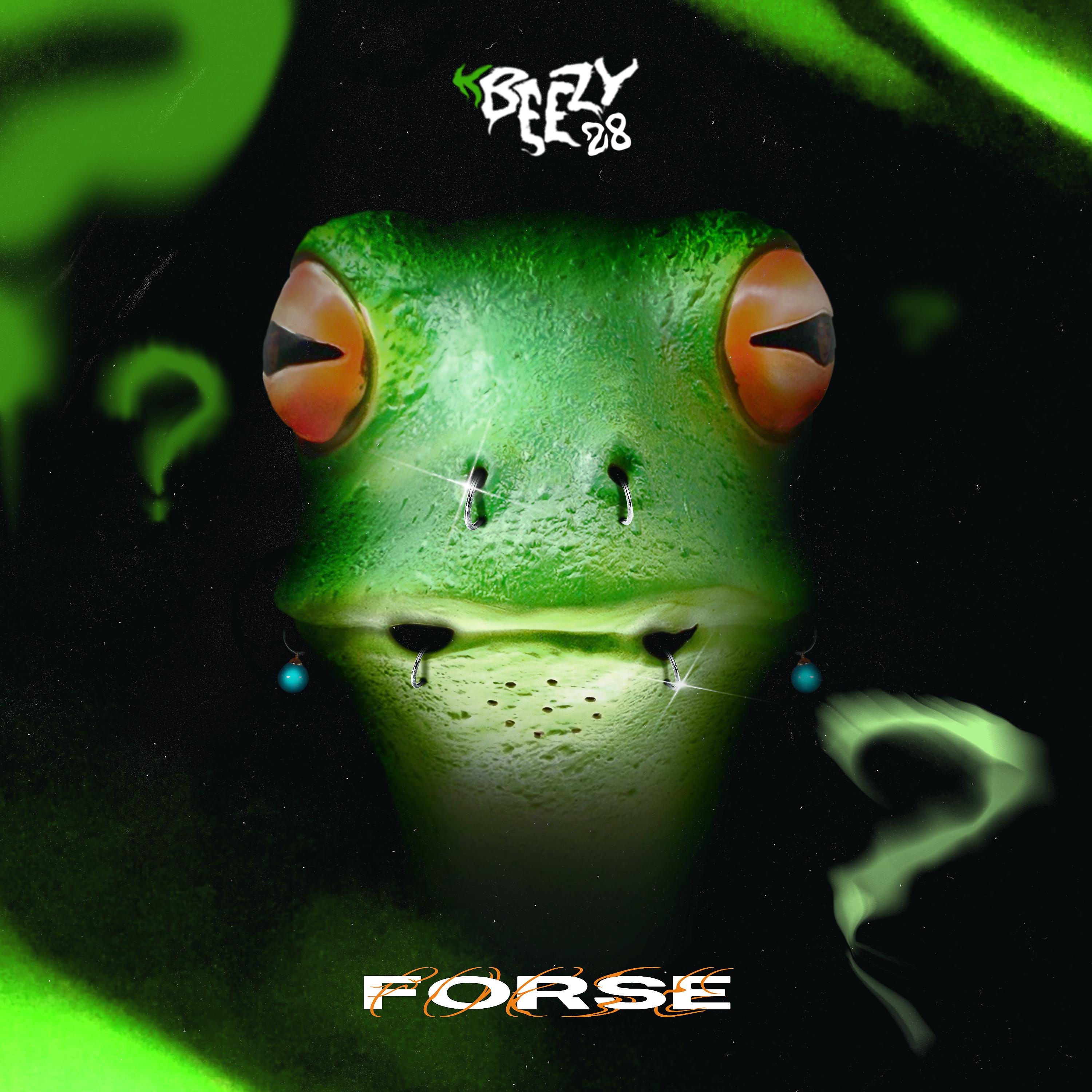Постер альбома Forse