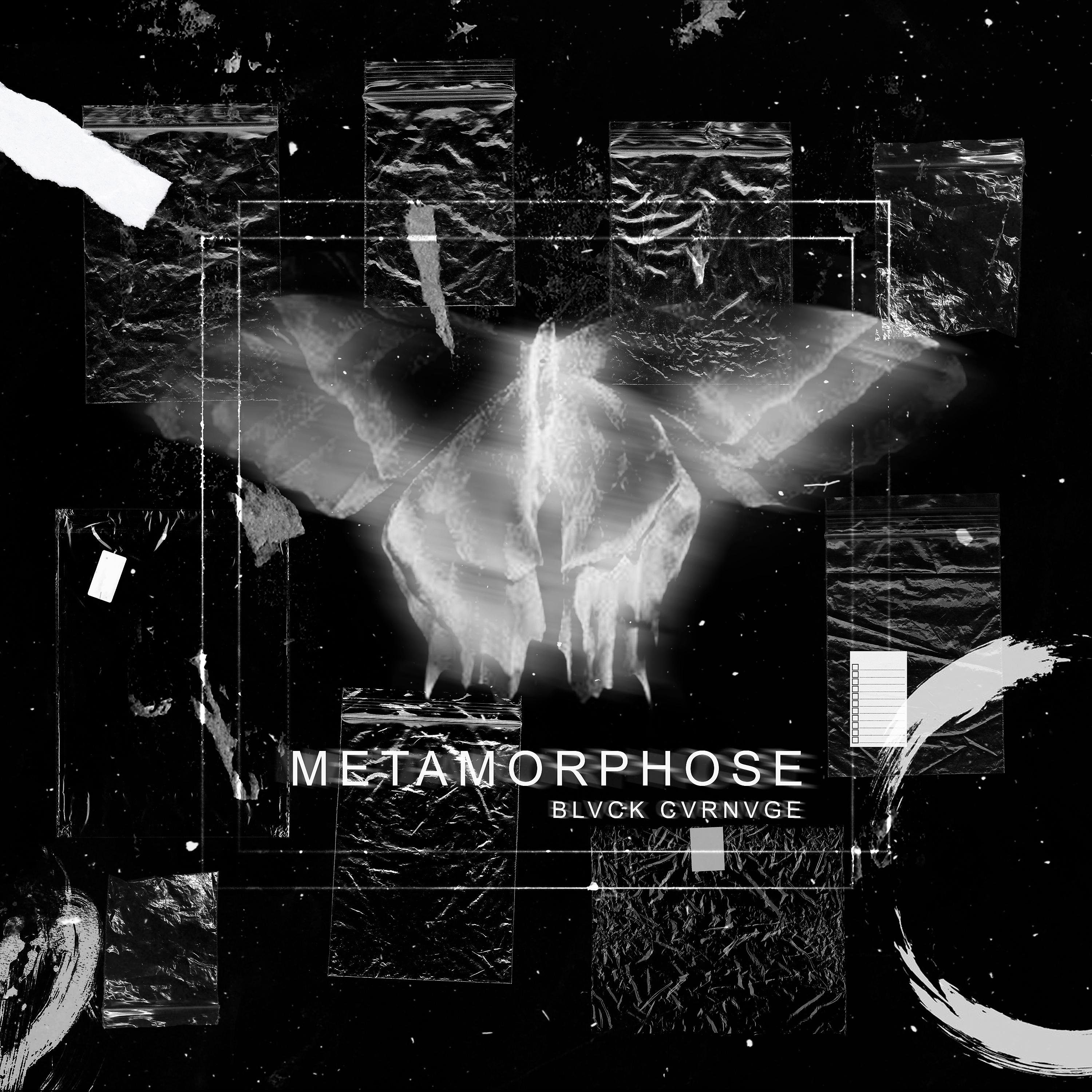 Постер альбома Metamorphose