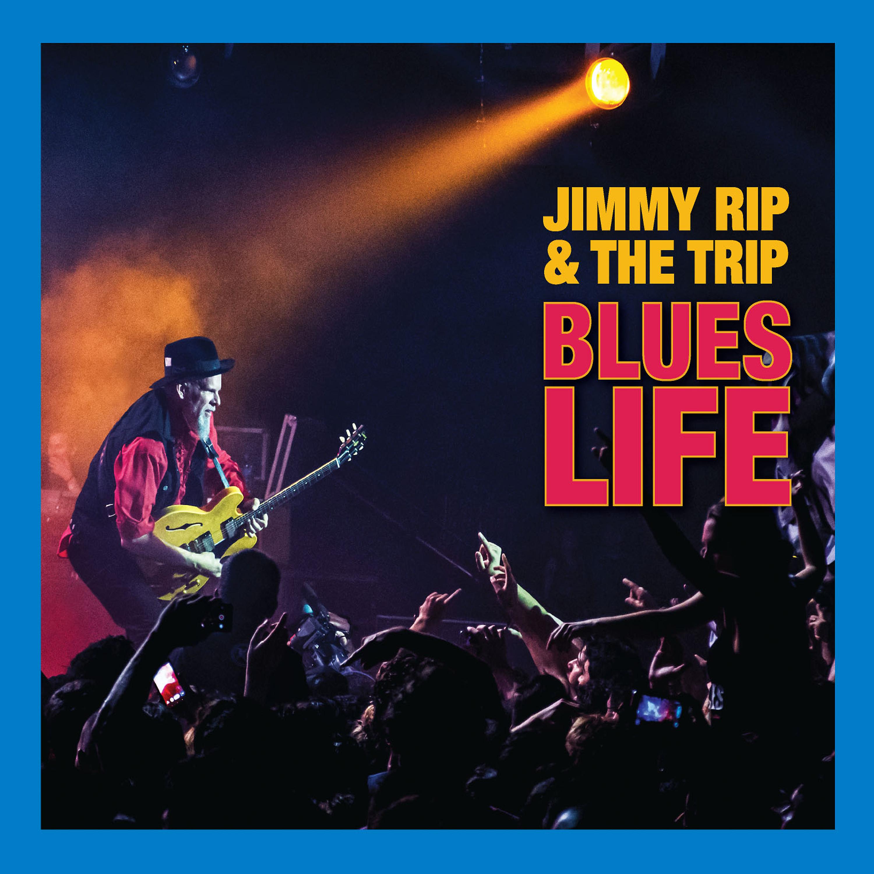 Постер альбома Blues Life