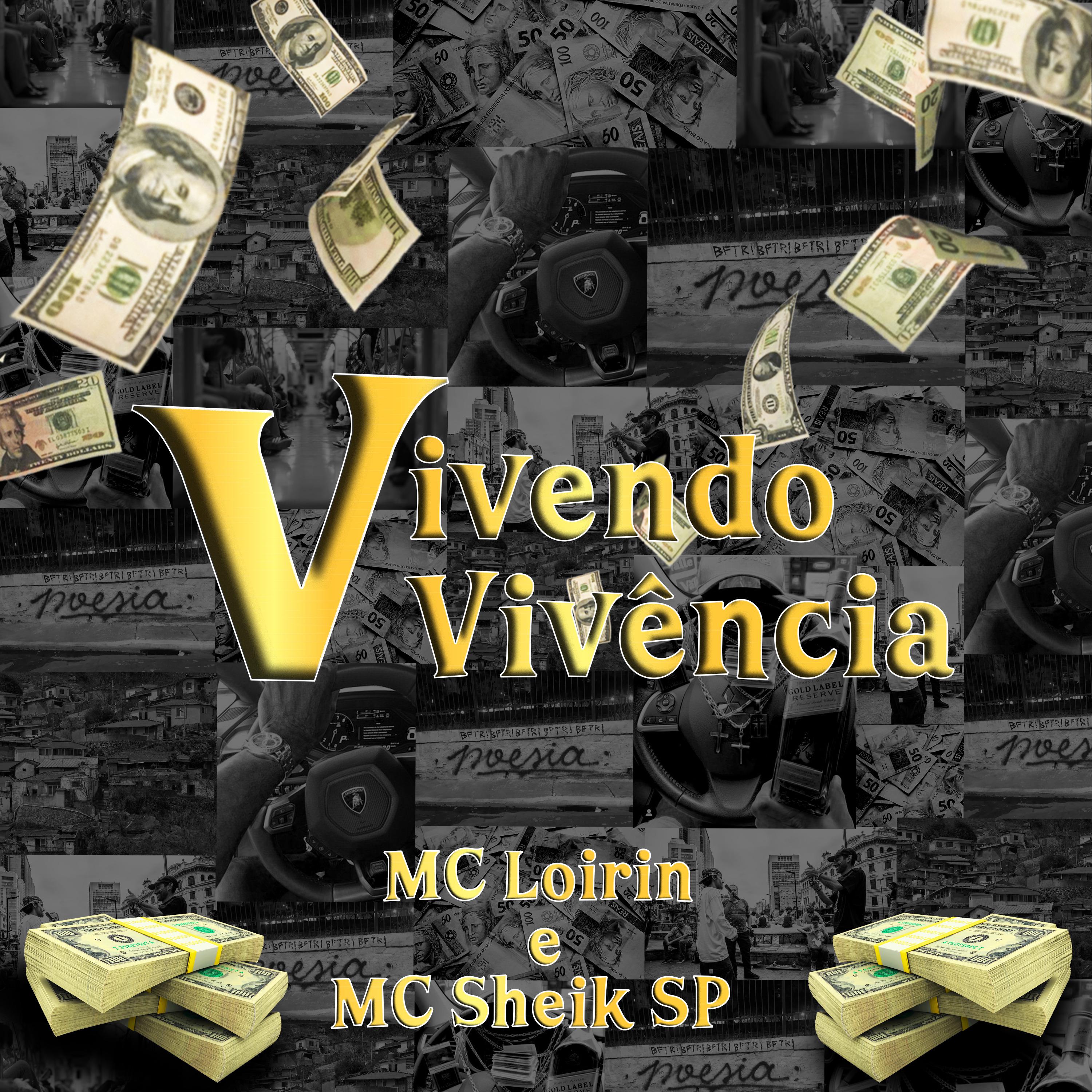 Постер альбома Vivenciei