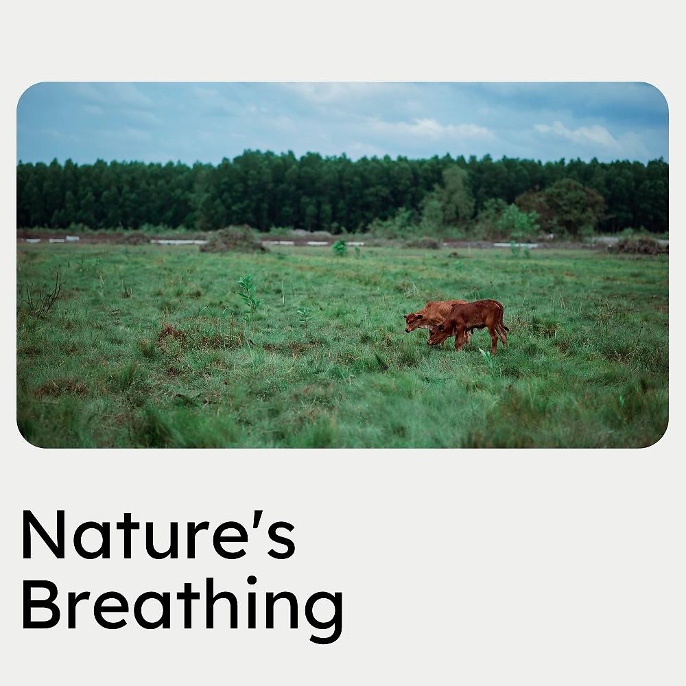 Постер альбома Nature's Breathing