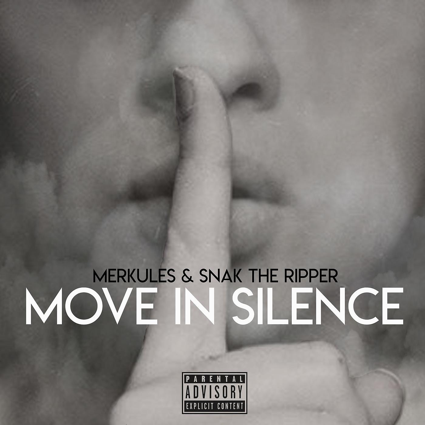 Постер альбома Move in Silence
