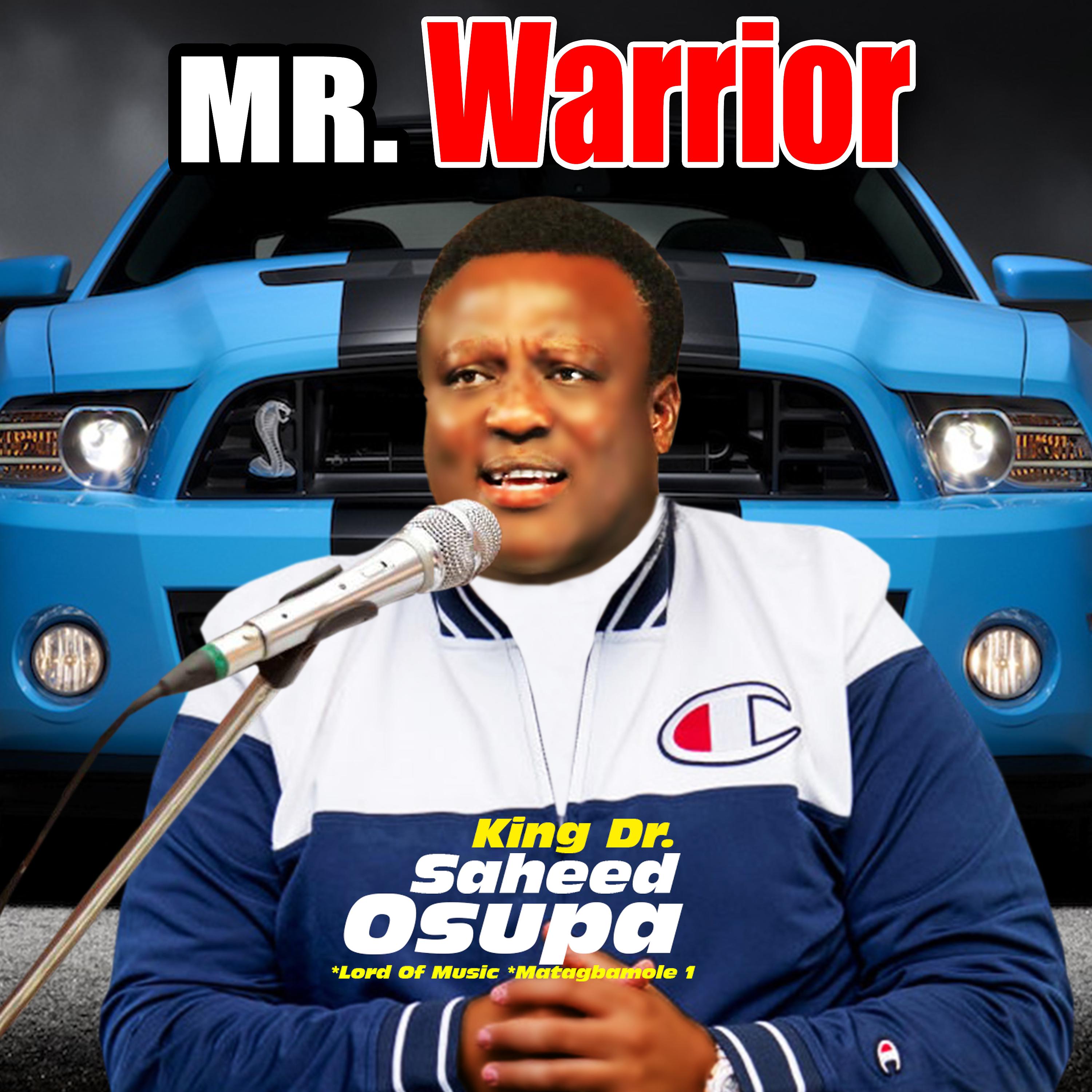 Постер альбома Mr. Warrior