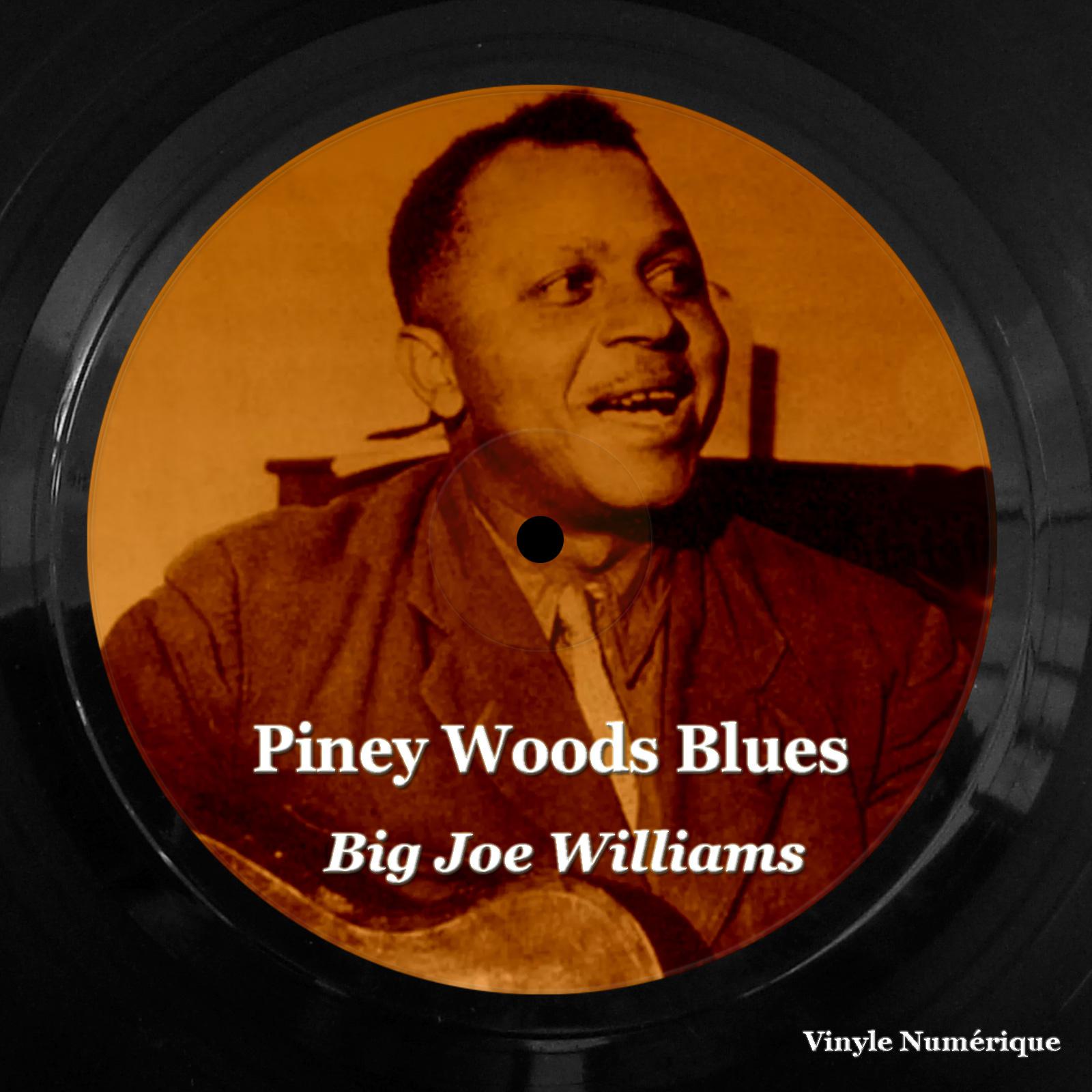 Постер альбома Piney Woods Blues