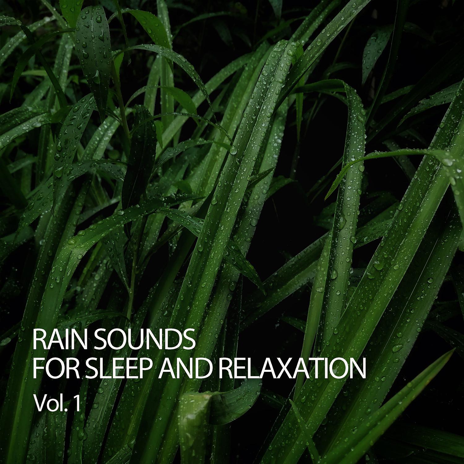 Постер альбома Rain Sounds For Sleep And Relaxation Vol. 1