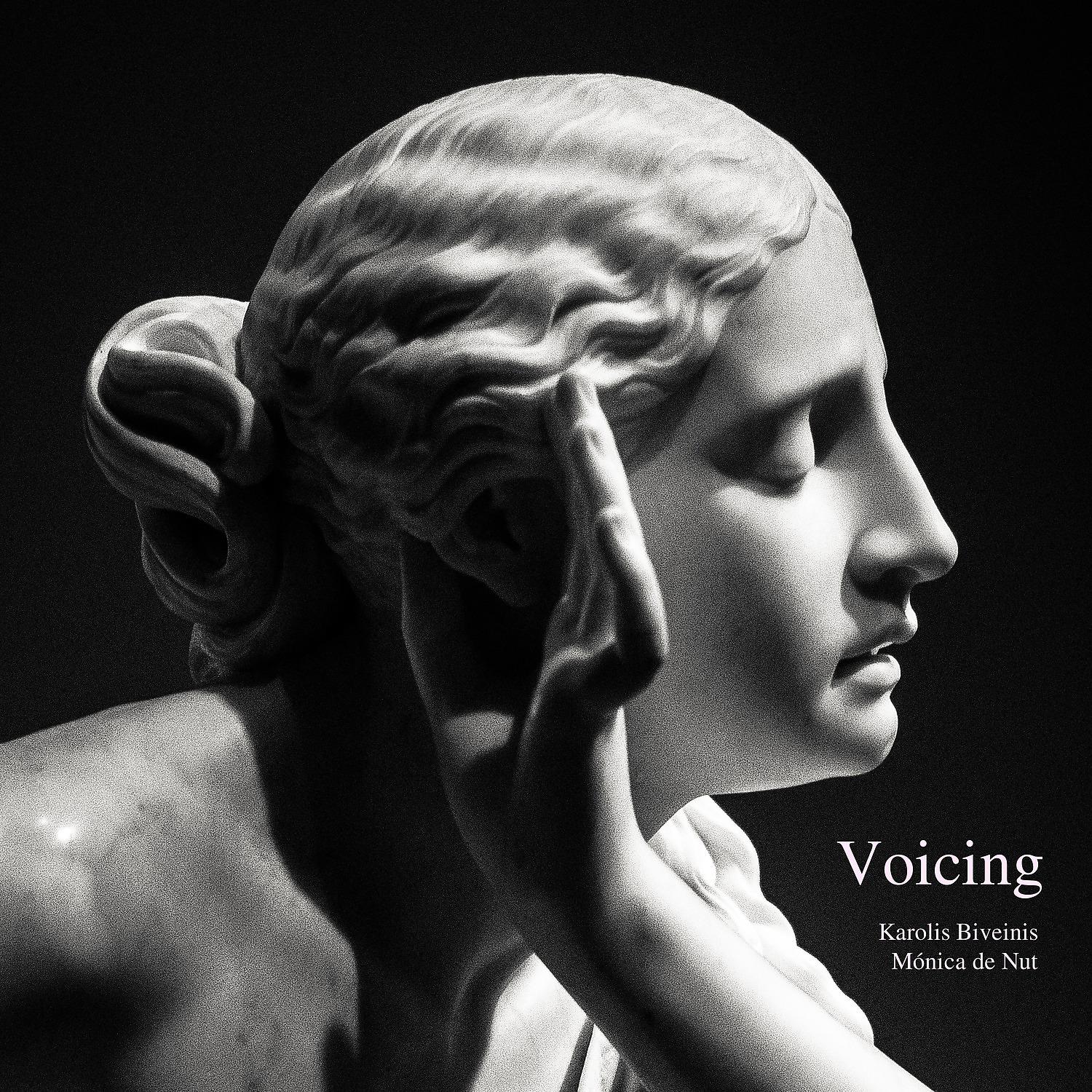 Постер альбома Voicing
