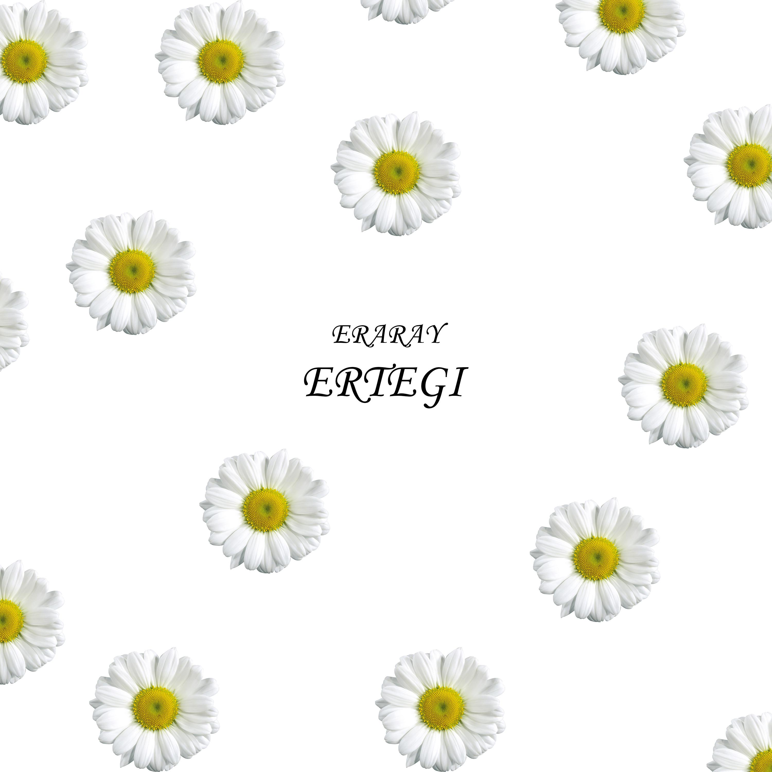 Постер альбома Ertegi