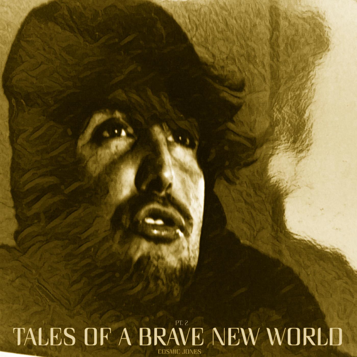 Постер альбома Tales of a Brave New World, Pt. 2