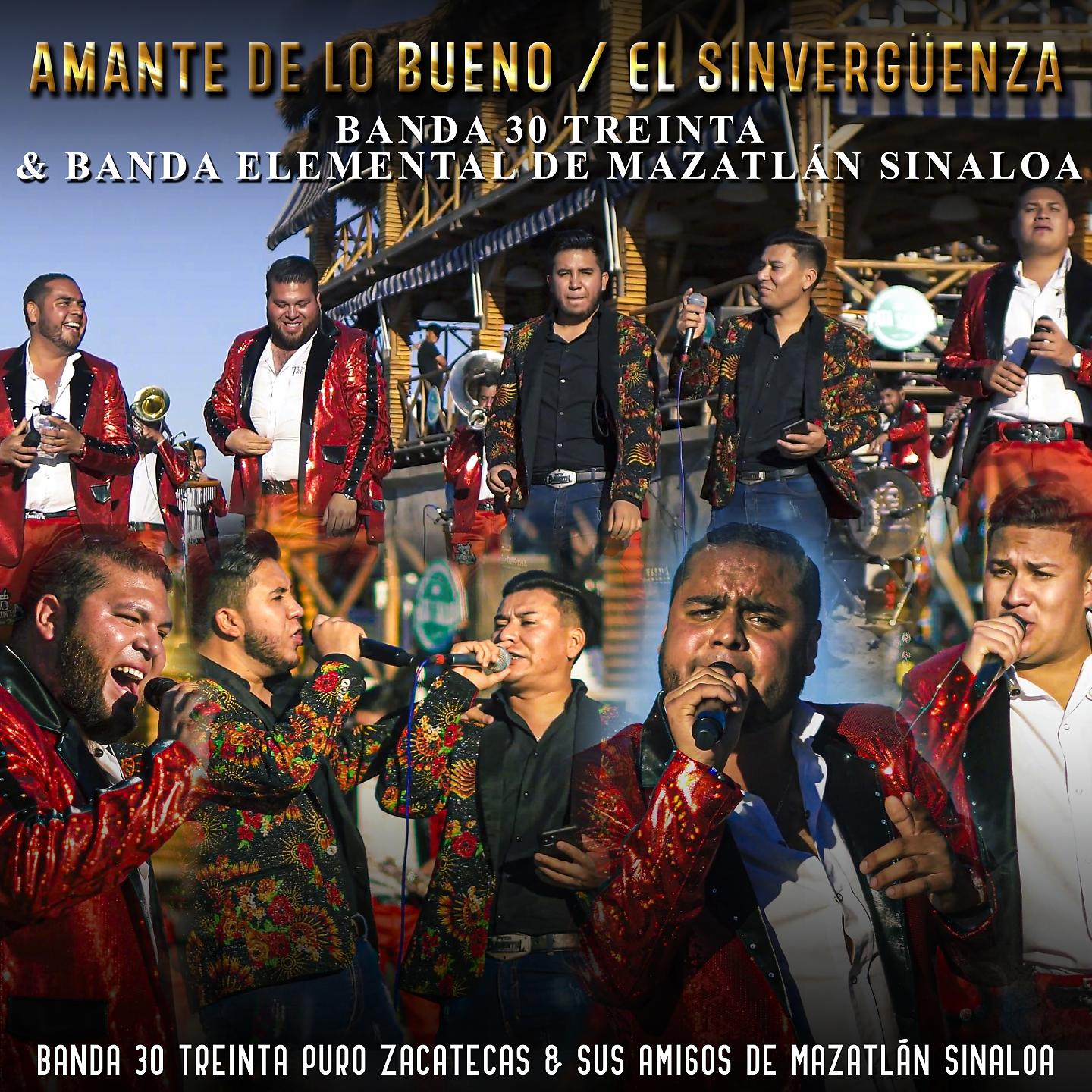 Постер альбома Amante De Lo Bueno / El Sinvergüenza