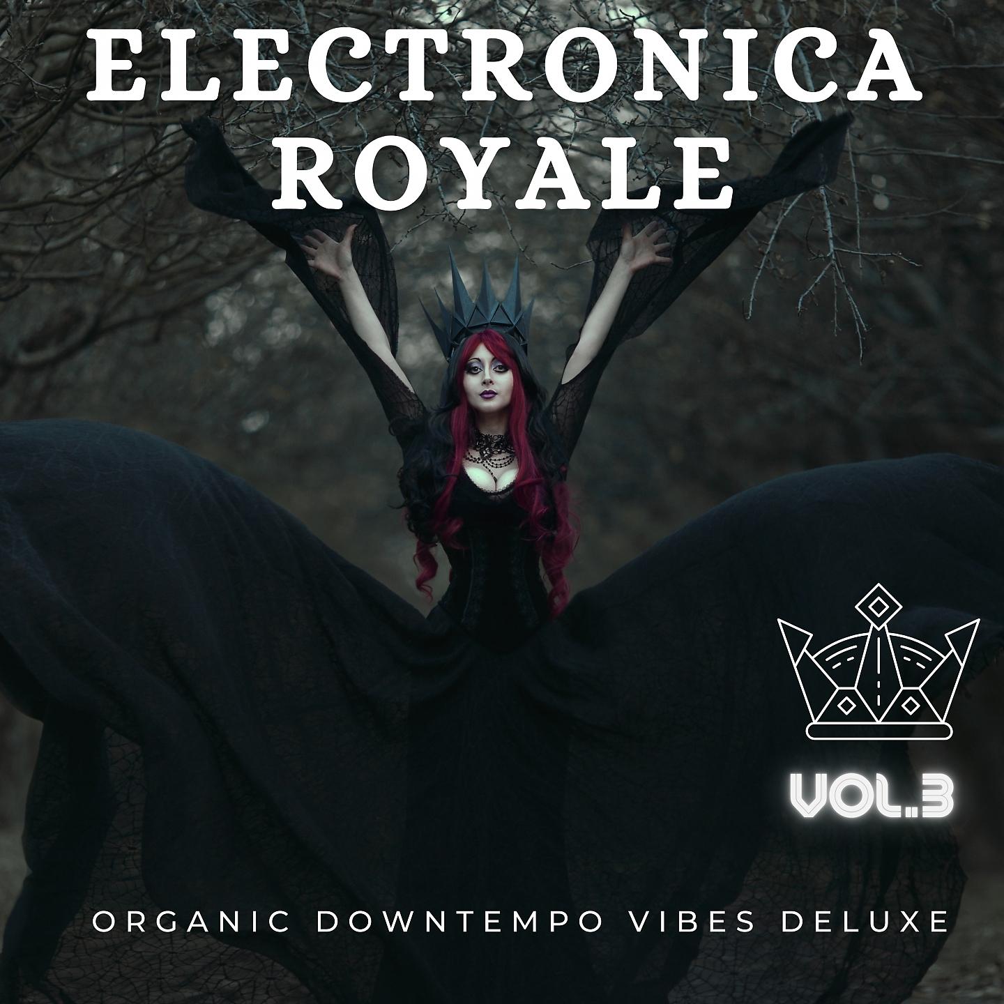 Постер альбома Electronica Royale, Vol.3