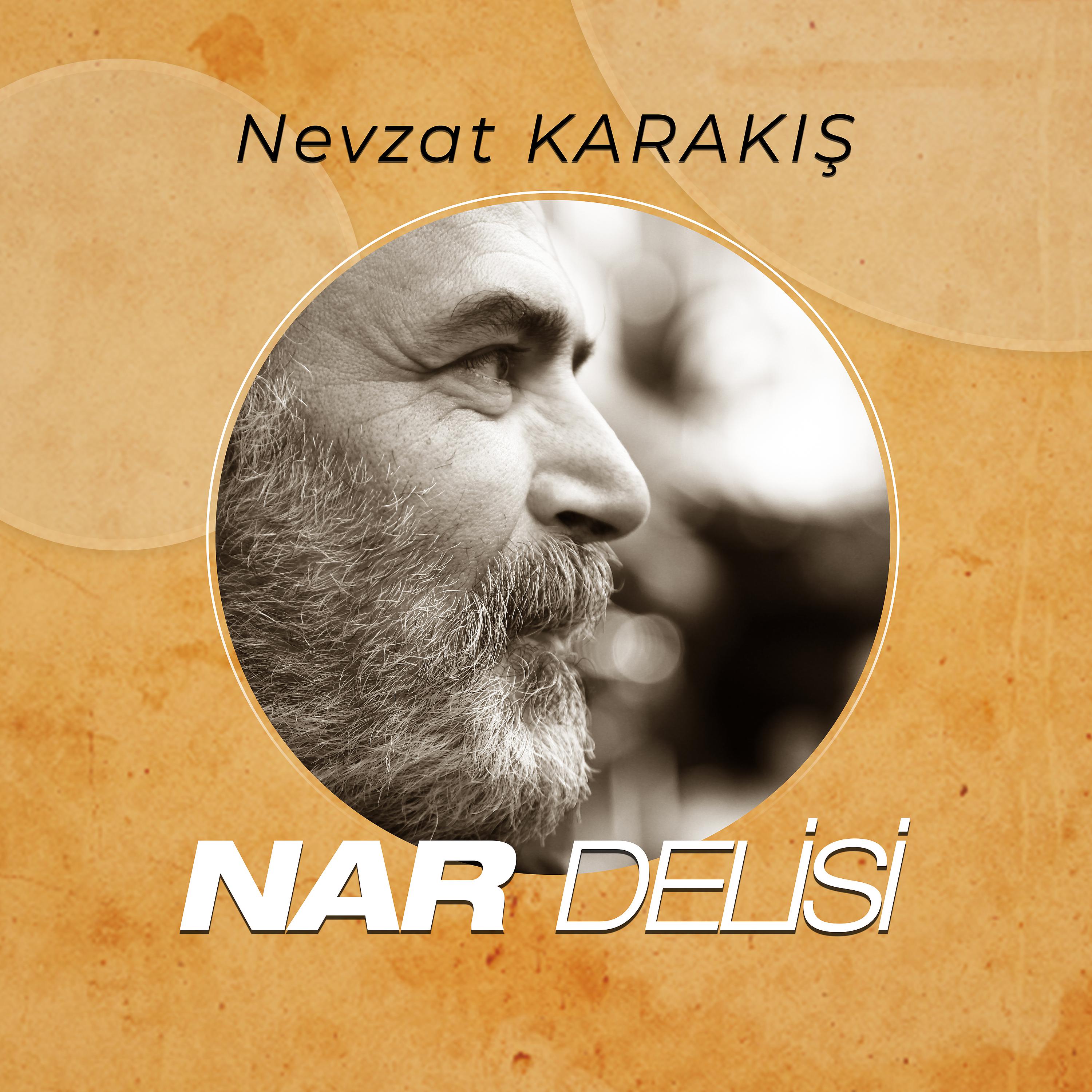 Постер альбома Nar Delisi