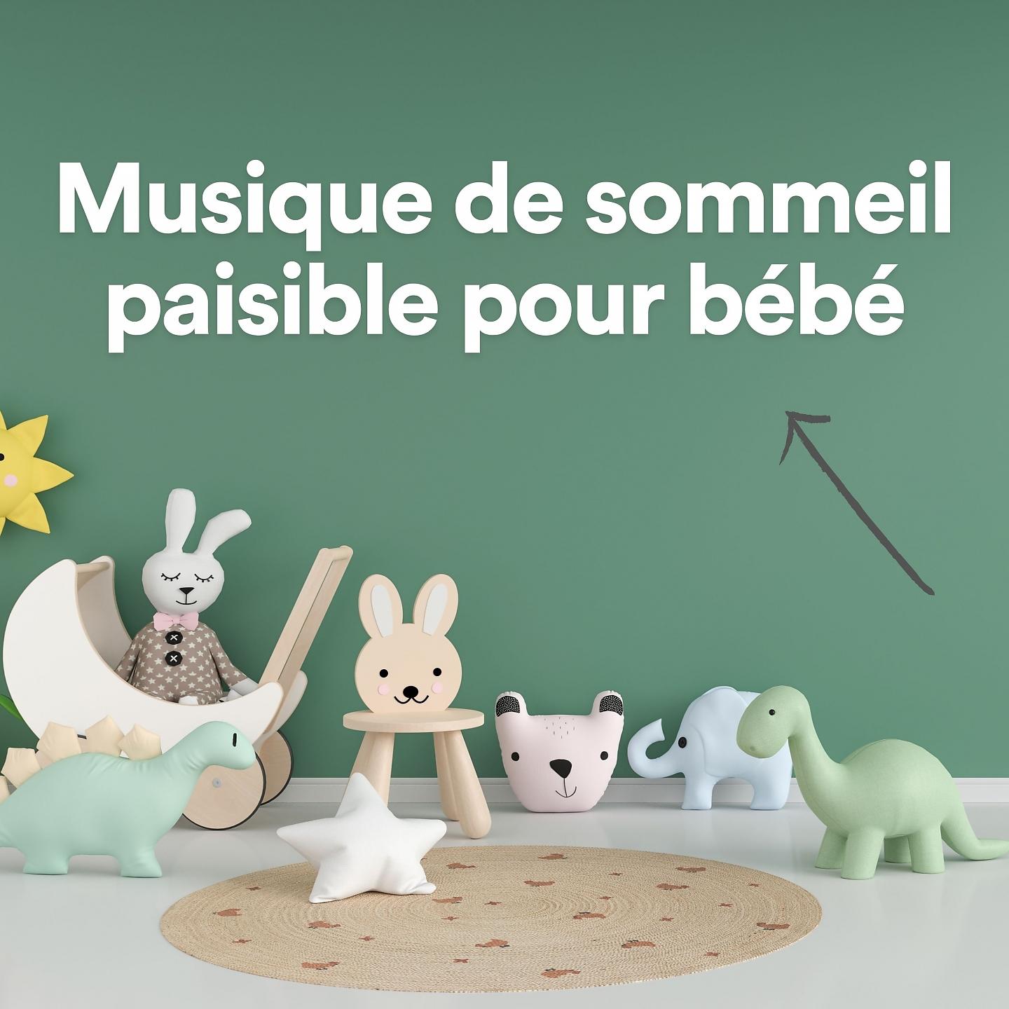 Постер альбома Musique de sommeil paisible pour bébé