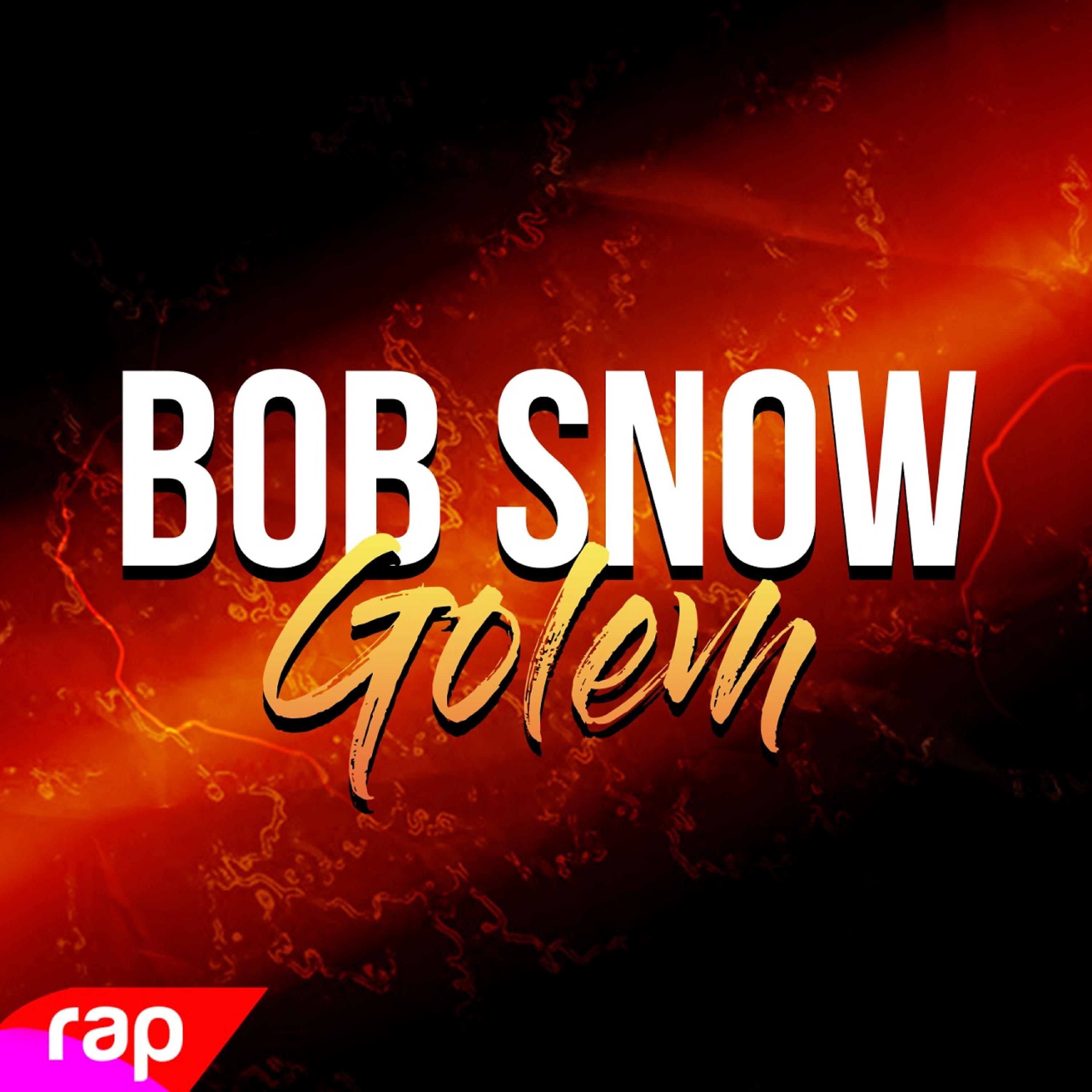 Постер альбома Rap do Bob (Snow Golem) a História