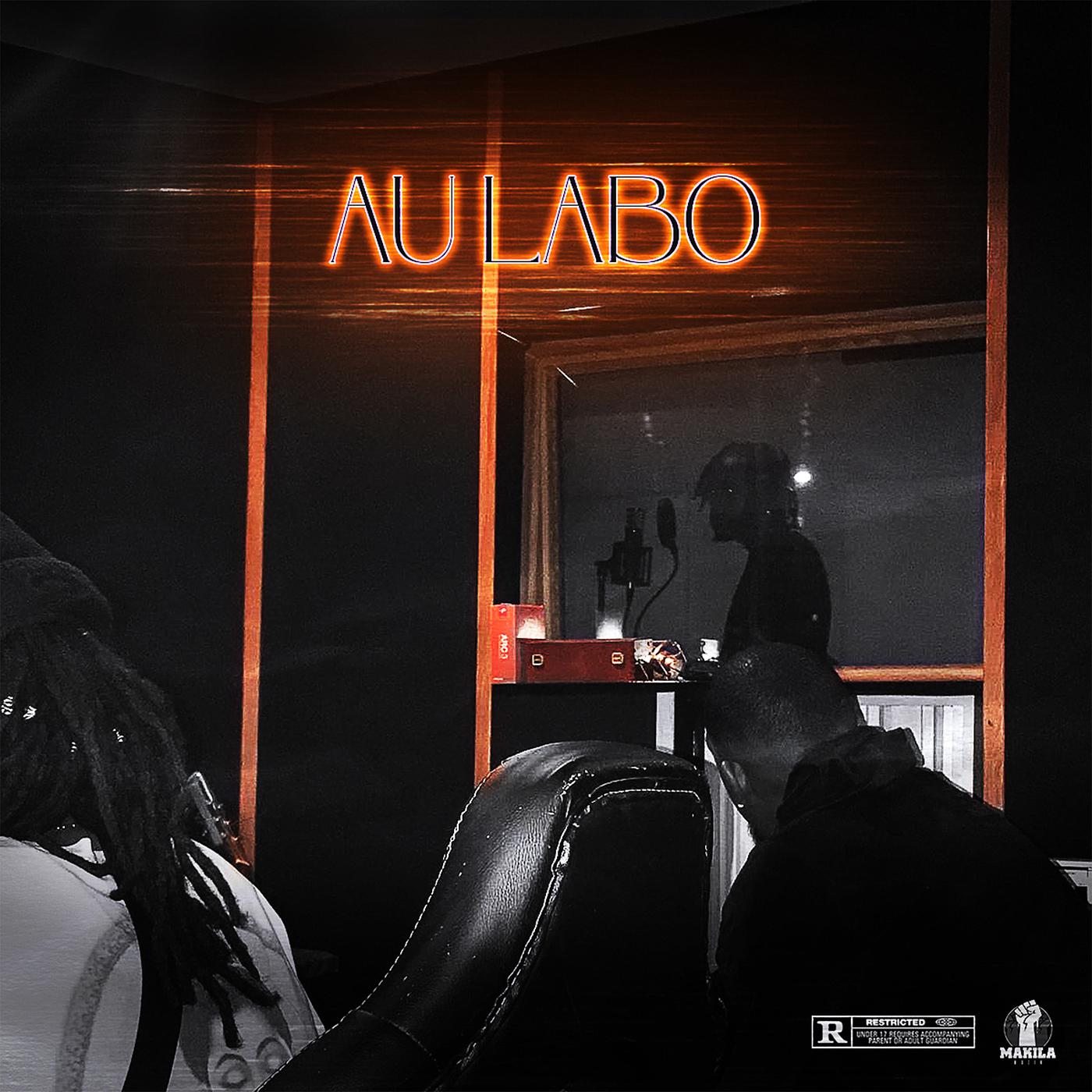 Постер альбома Au Labo