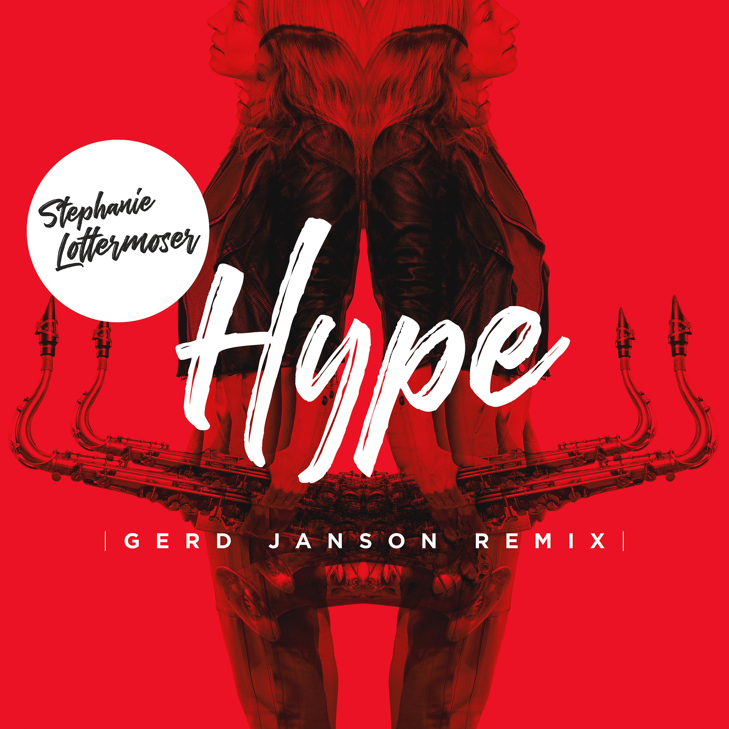 Постер альбома Hype (Gerd Janson Remix)