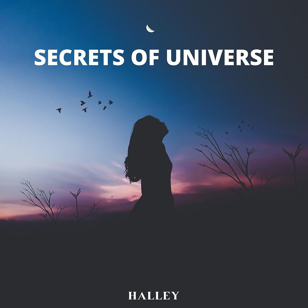 Постер альбома Secrets of Universe (Extended Mix)