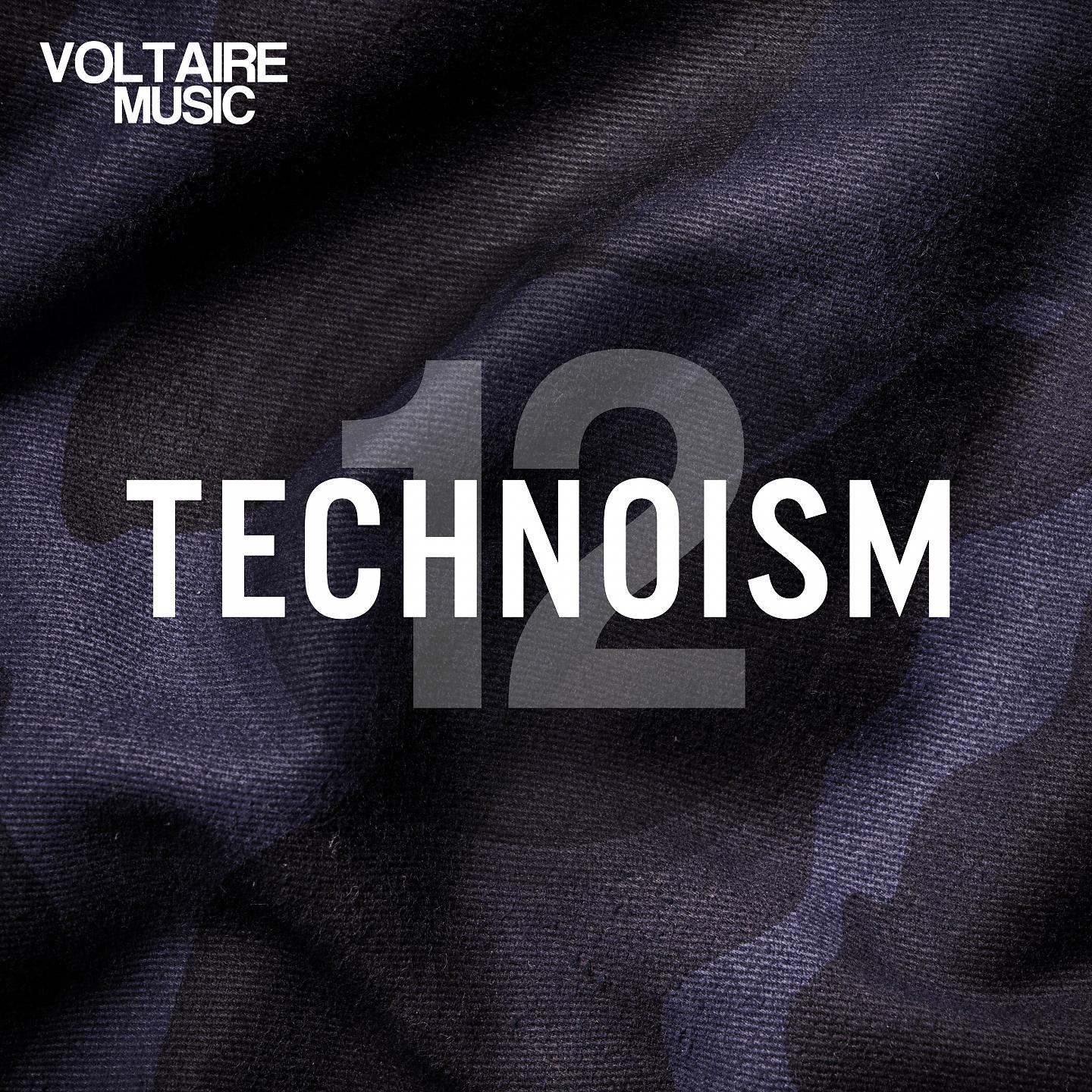 Постер альбома Technoism Issue 12