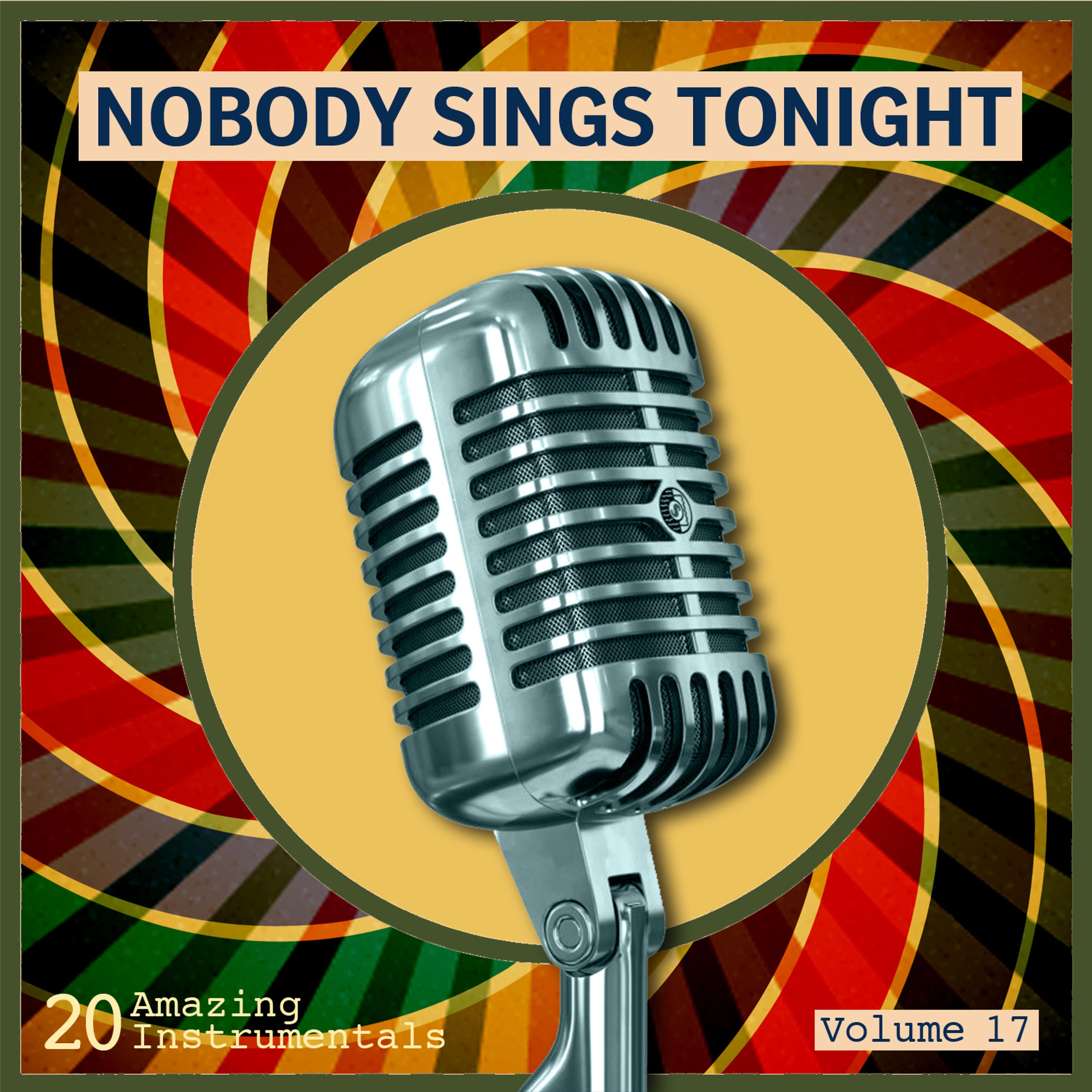 Постер альбома Nobody Sings Tonight: Great Instrumentals Vol. 17