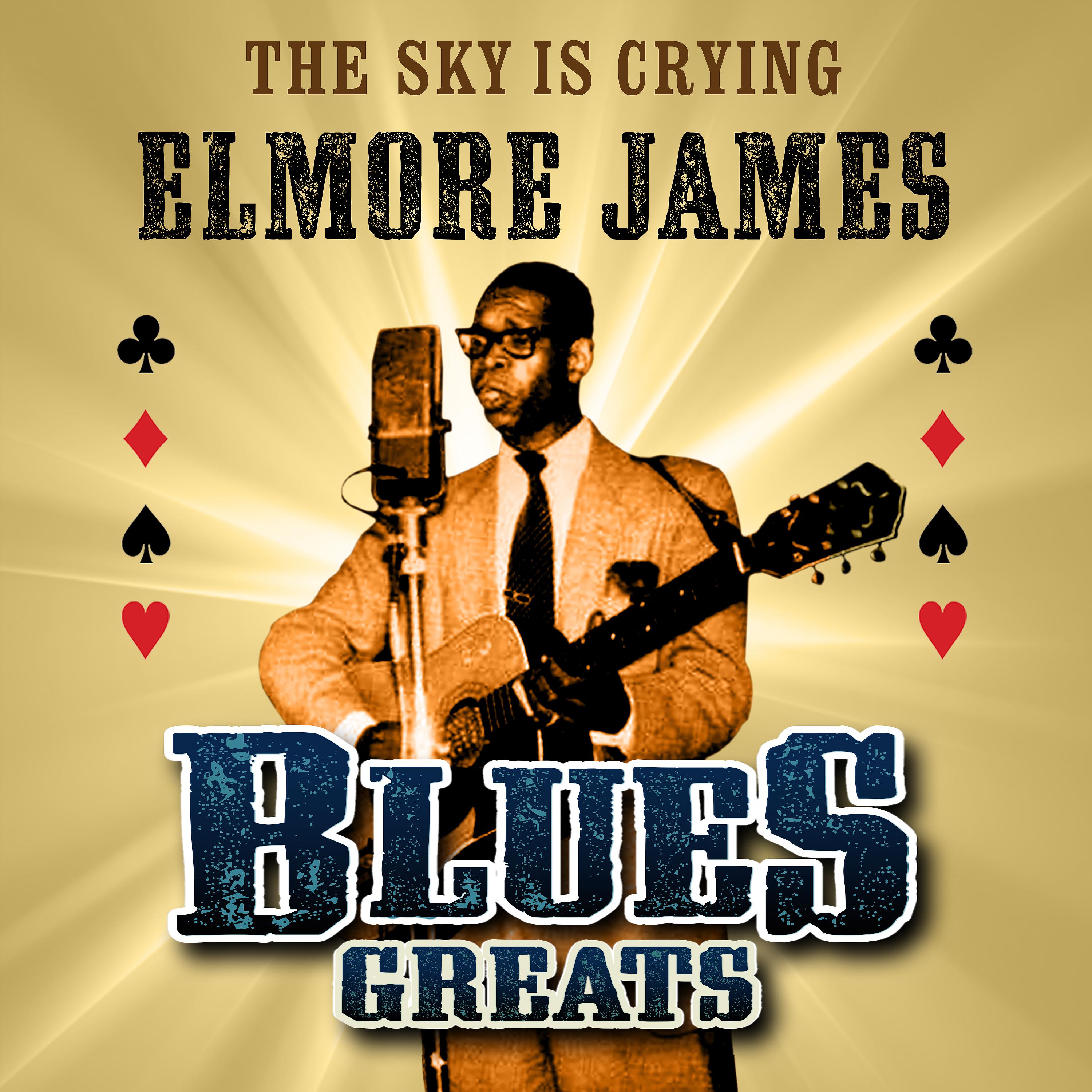 Постер альбома The Sky Is Crying - Blues Greats